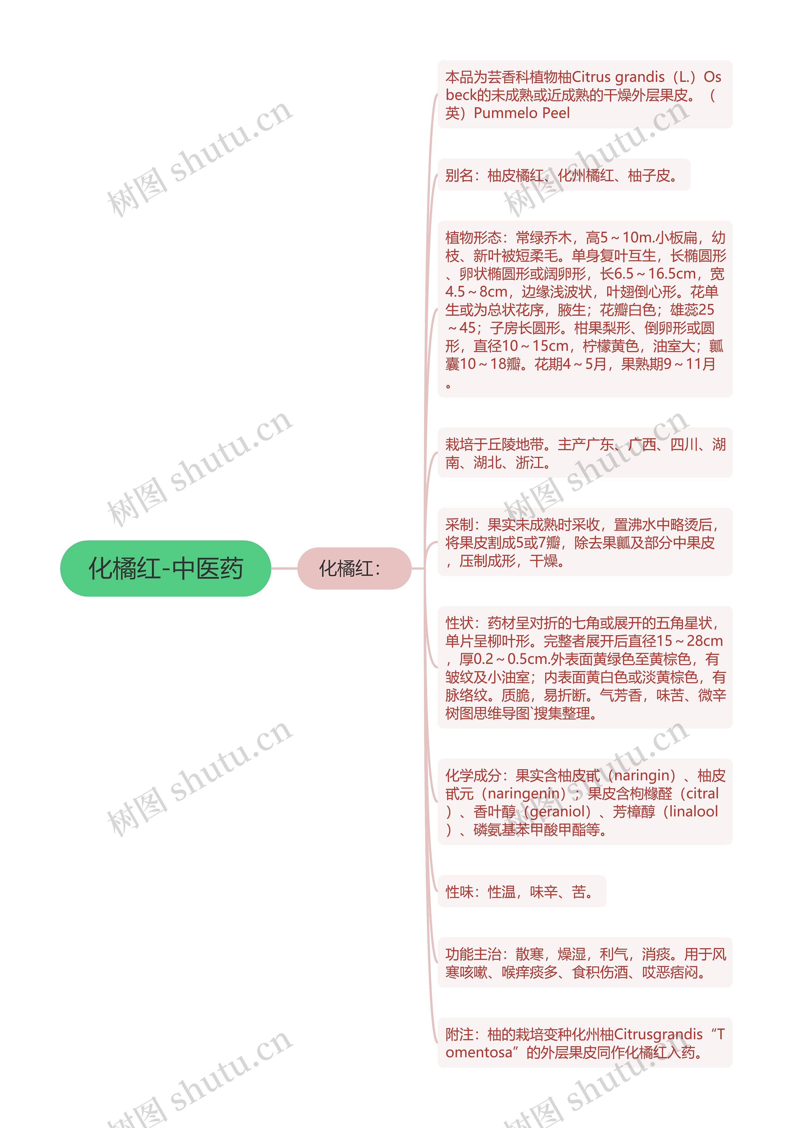 化橘红-中医药思维导图