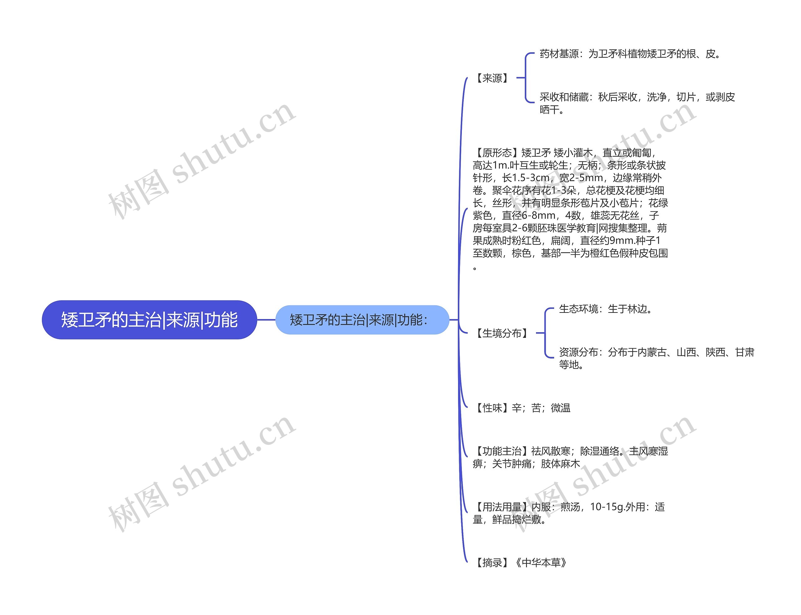 矮卫矛的主治|来源|功能思维导图