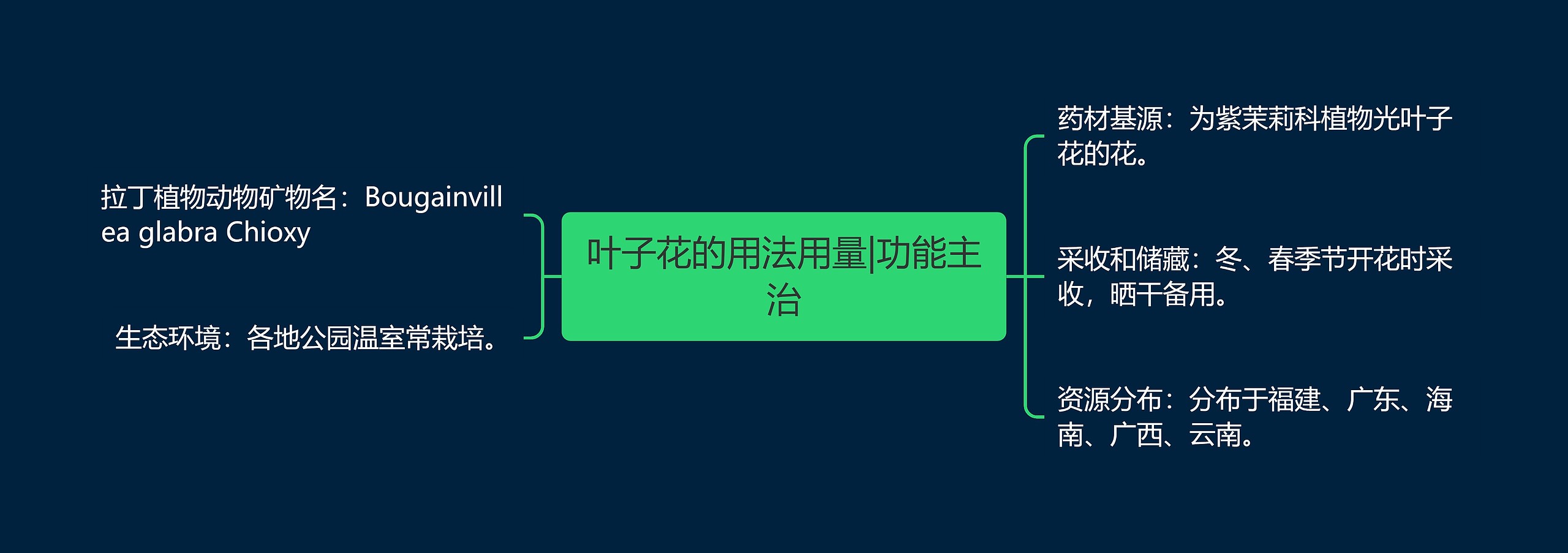 叶子花的用法用量|功能主治 叶子花的用法用量|功能主治