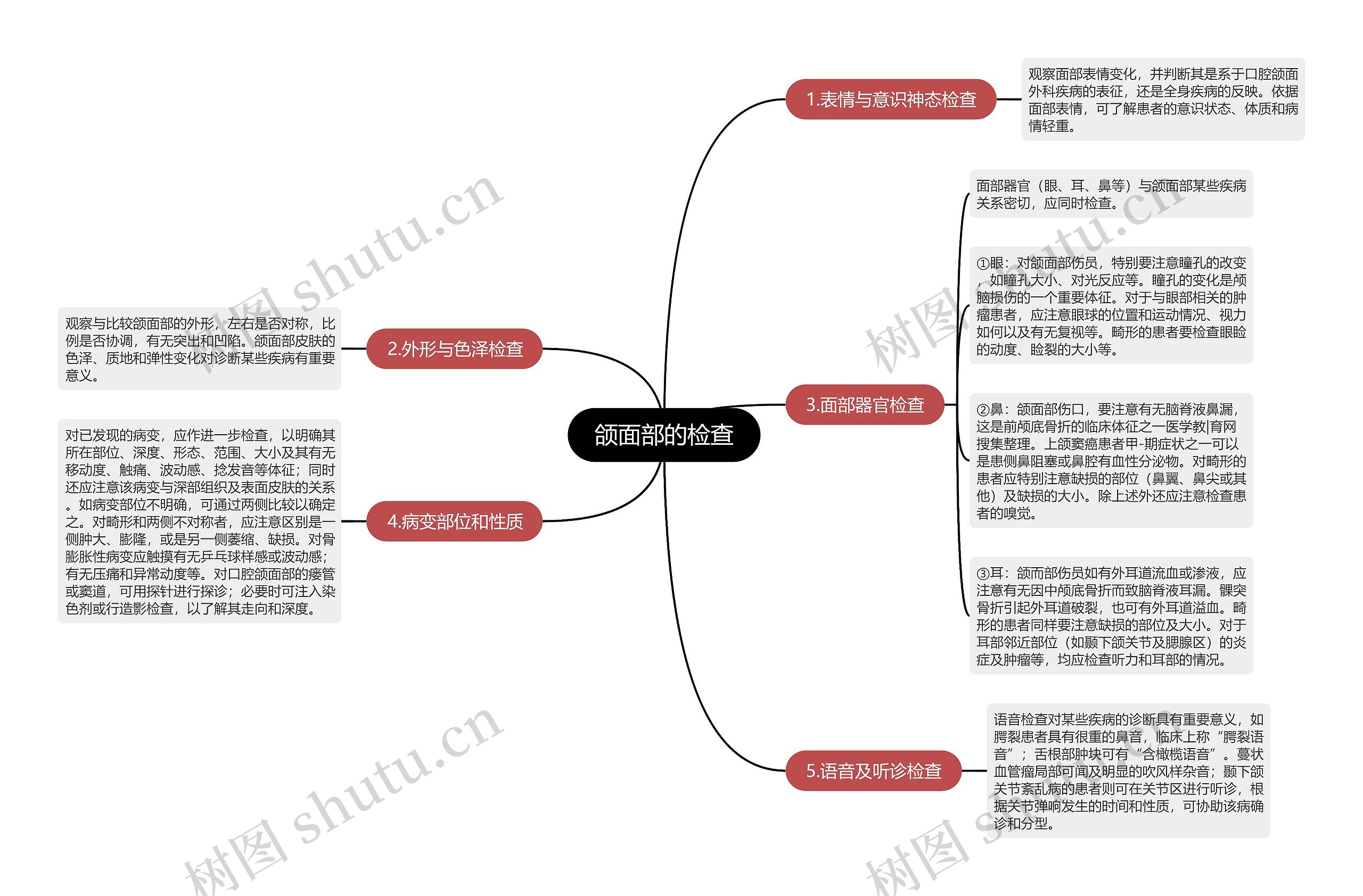 颌面部的检查思维导图