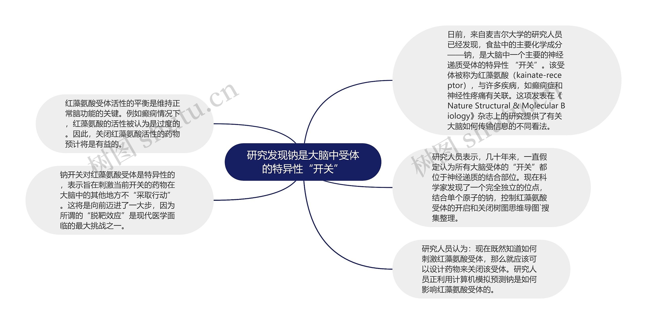 研究发现钠是大脑中受体的特异性“开关”思维导图