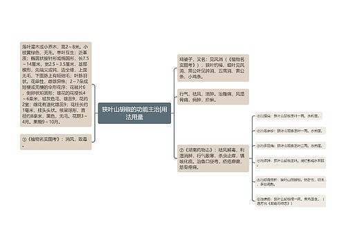 狭叶山胡椒的功能主治|用法用量