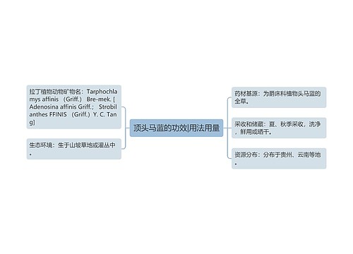 顶头马蓝的功效|用法用量