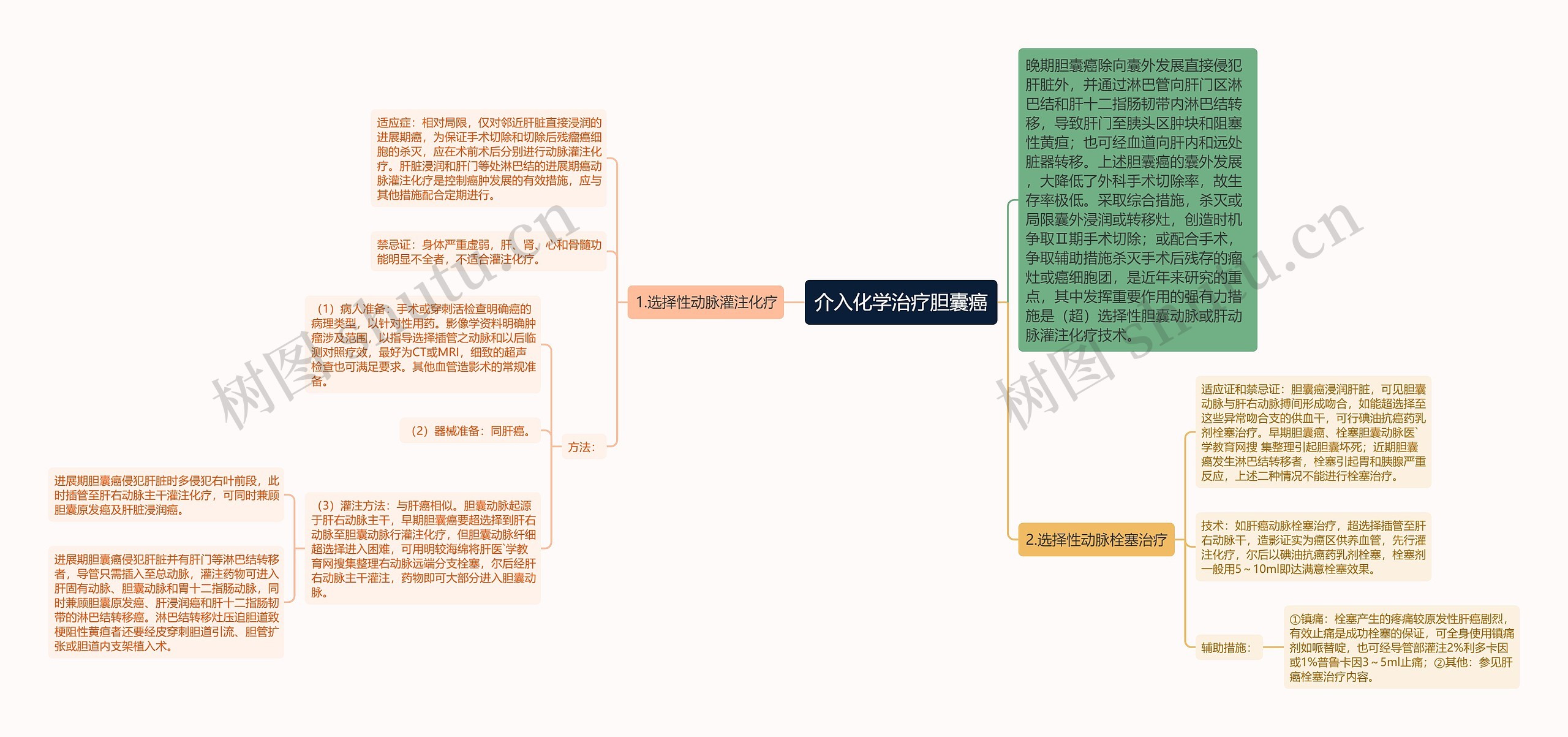 介入化学治疗胆囊癌