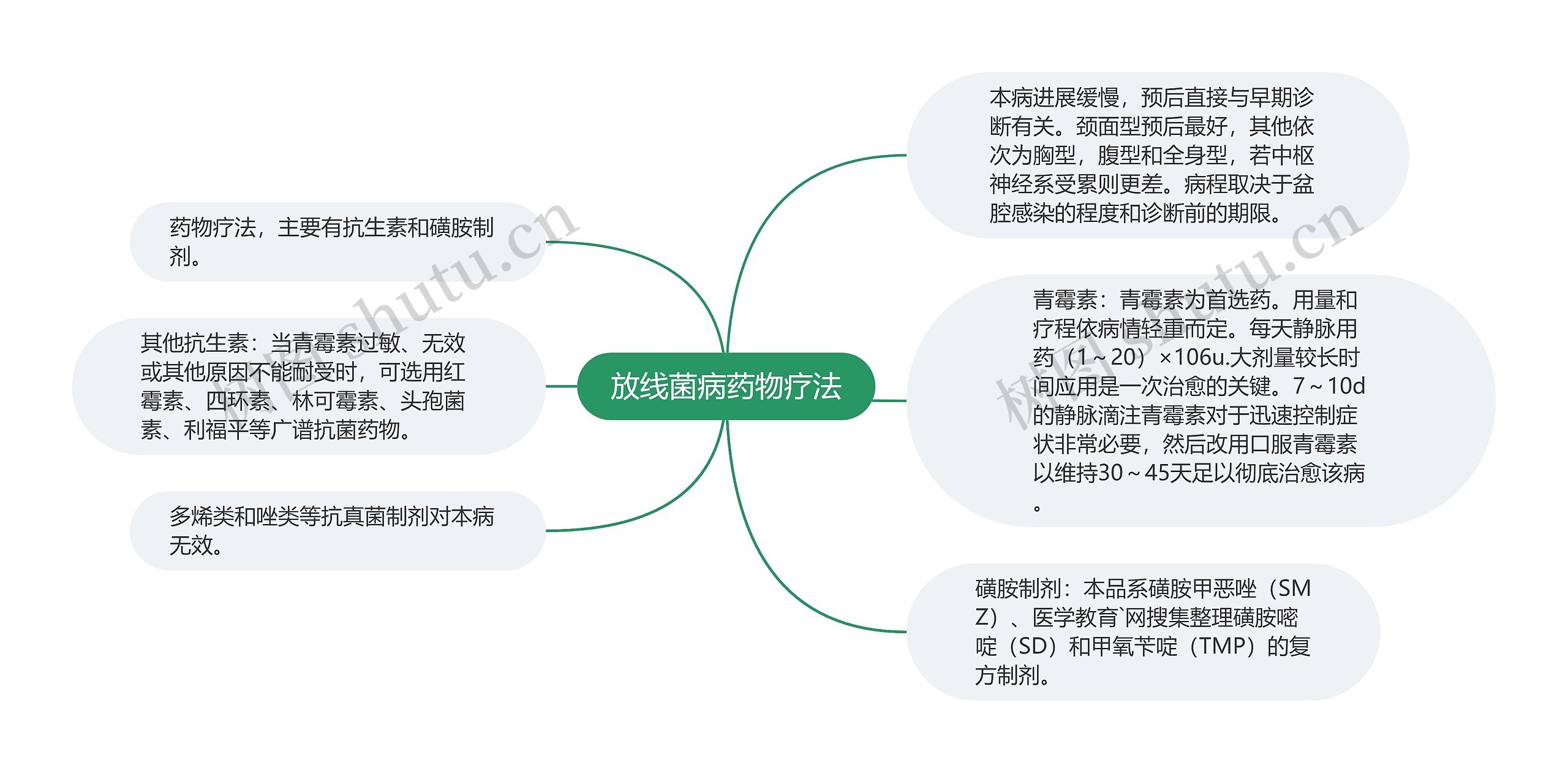 放线菌病药物疗法