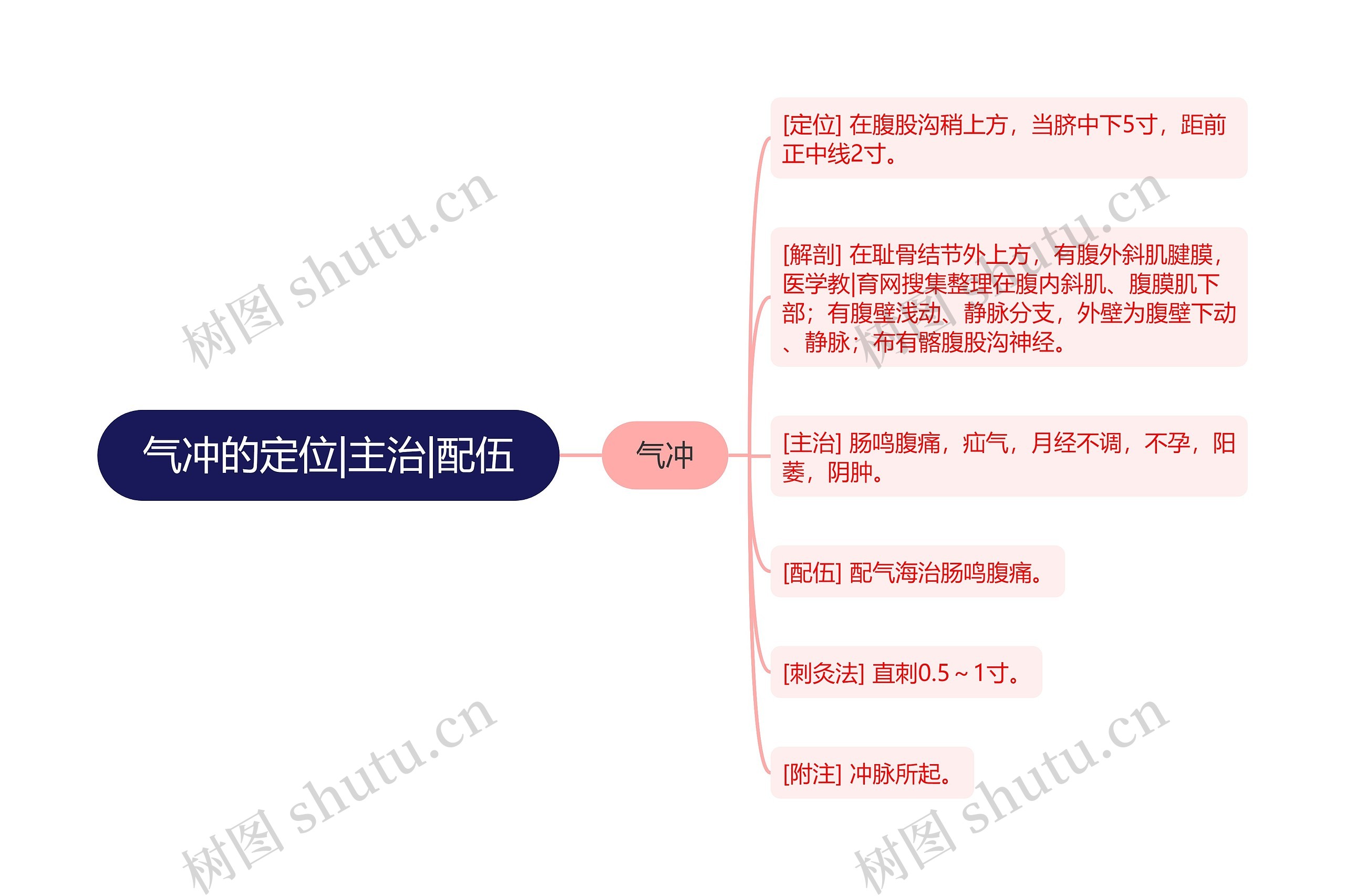 气冲的定位|主治|配伍思维导图