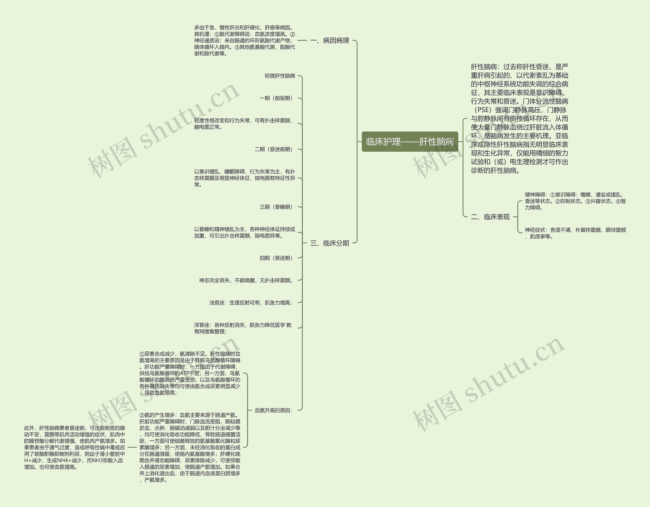 临床护理——肝性脑病思维导图