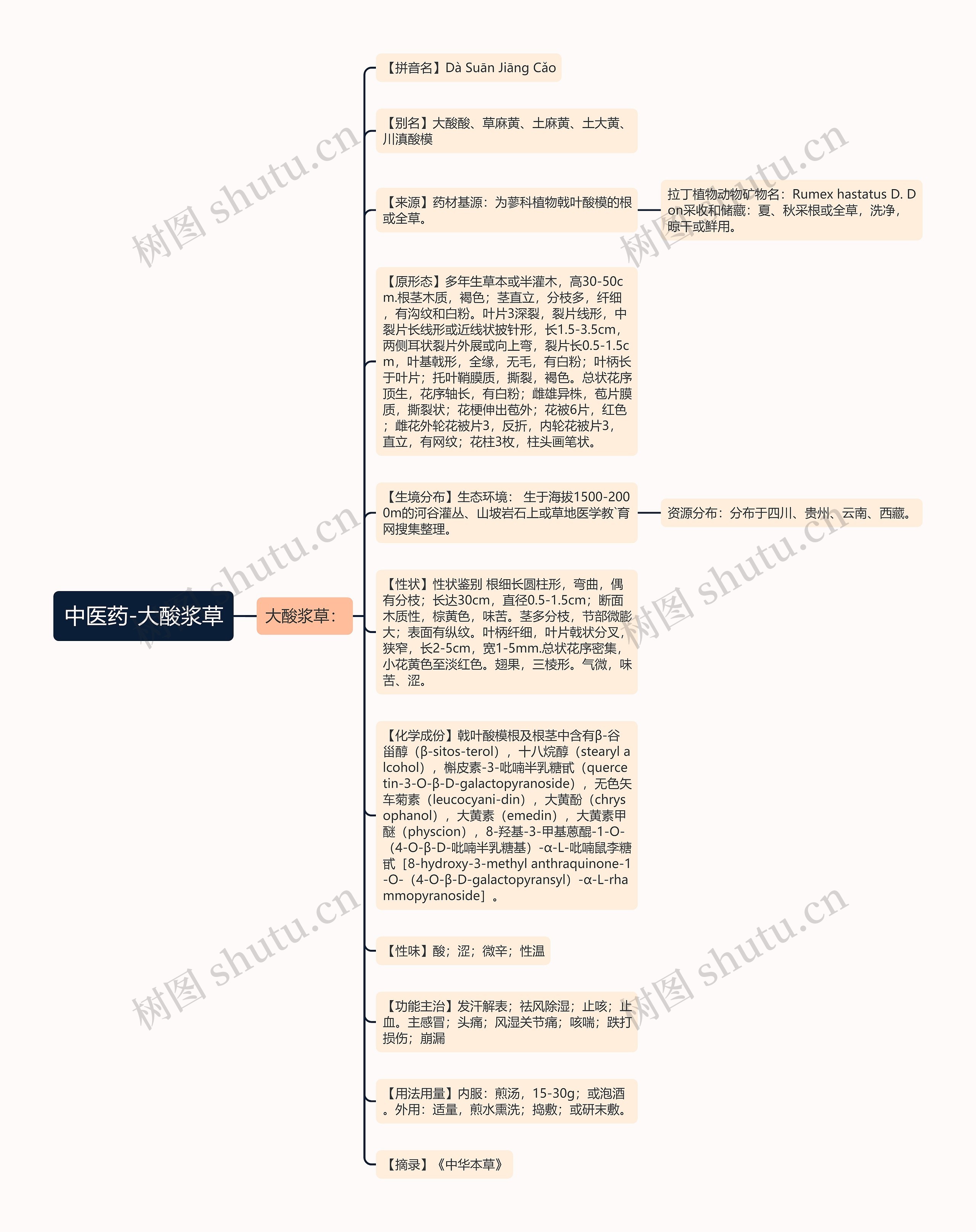 中医药-大酸浆草思维导图