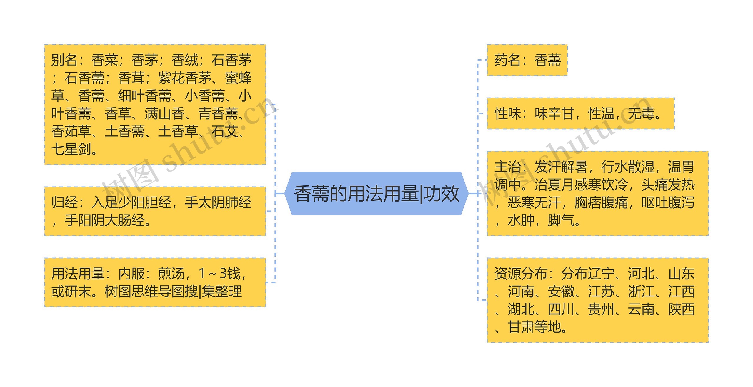 香薷的用法用量|功效 香薷的用法用量|功效