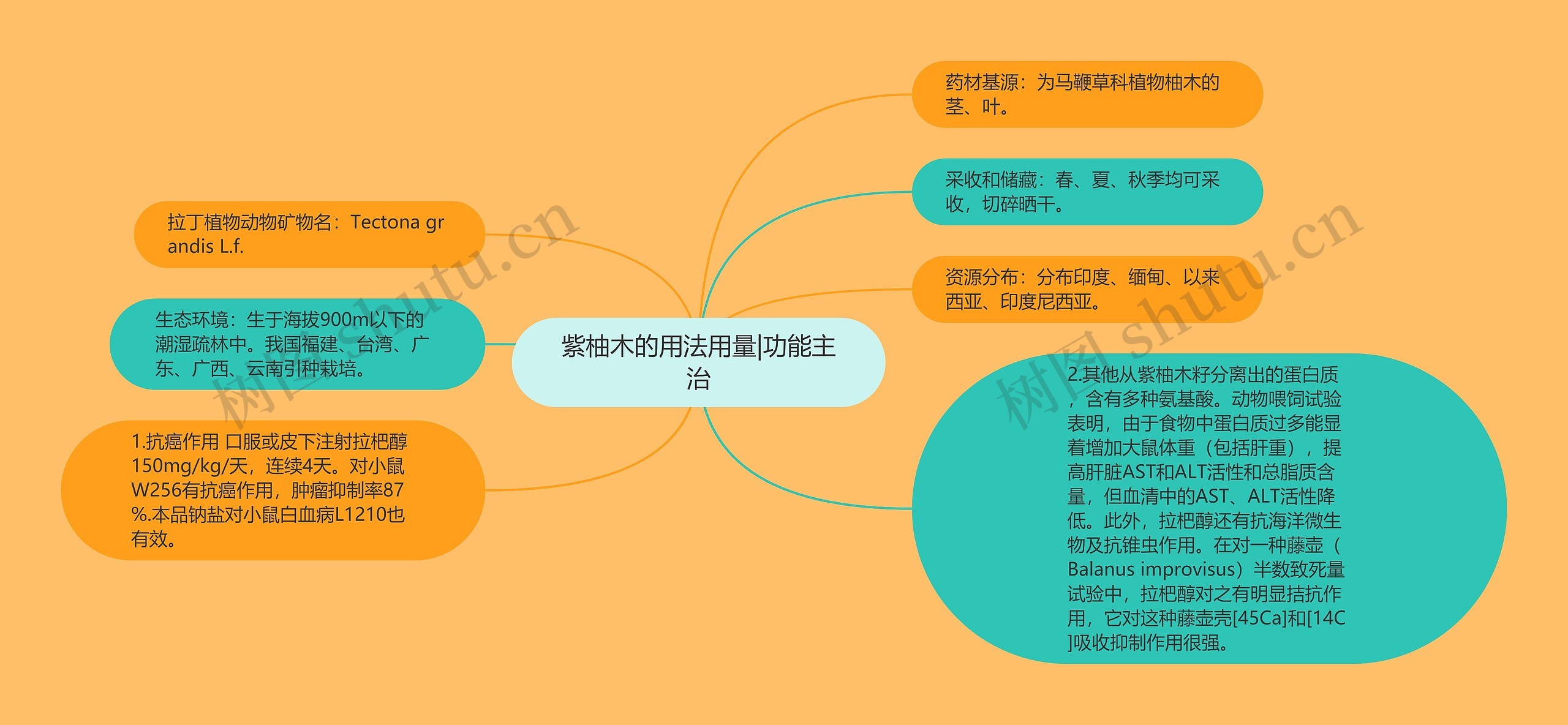 紫柚木的用法用量|功能主治 紫柚木的用法用量|功能主治