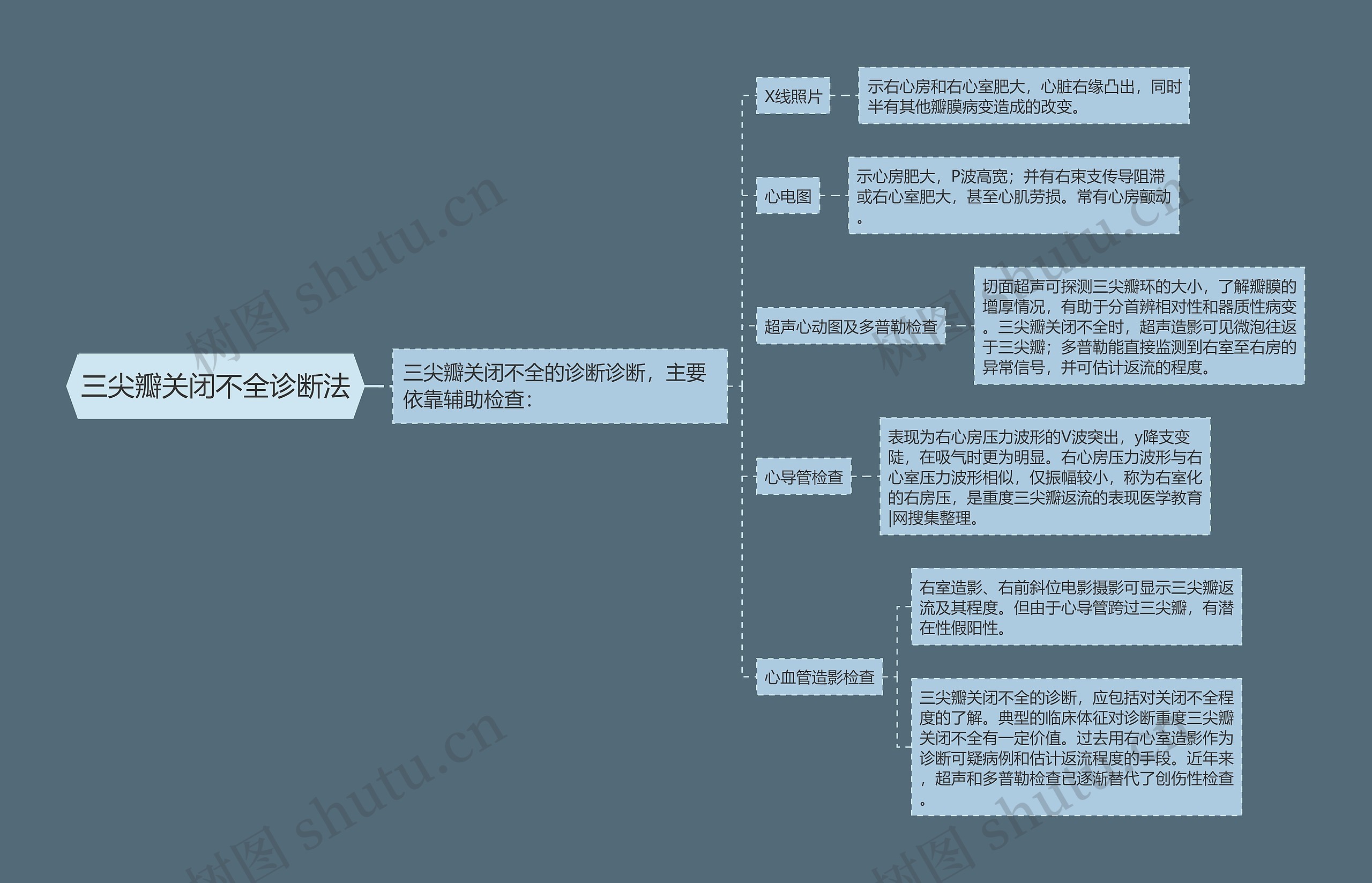 三尖瓣关闭不全诊断法思维导图