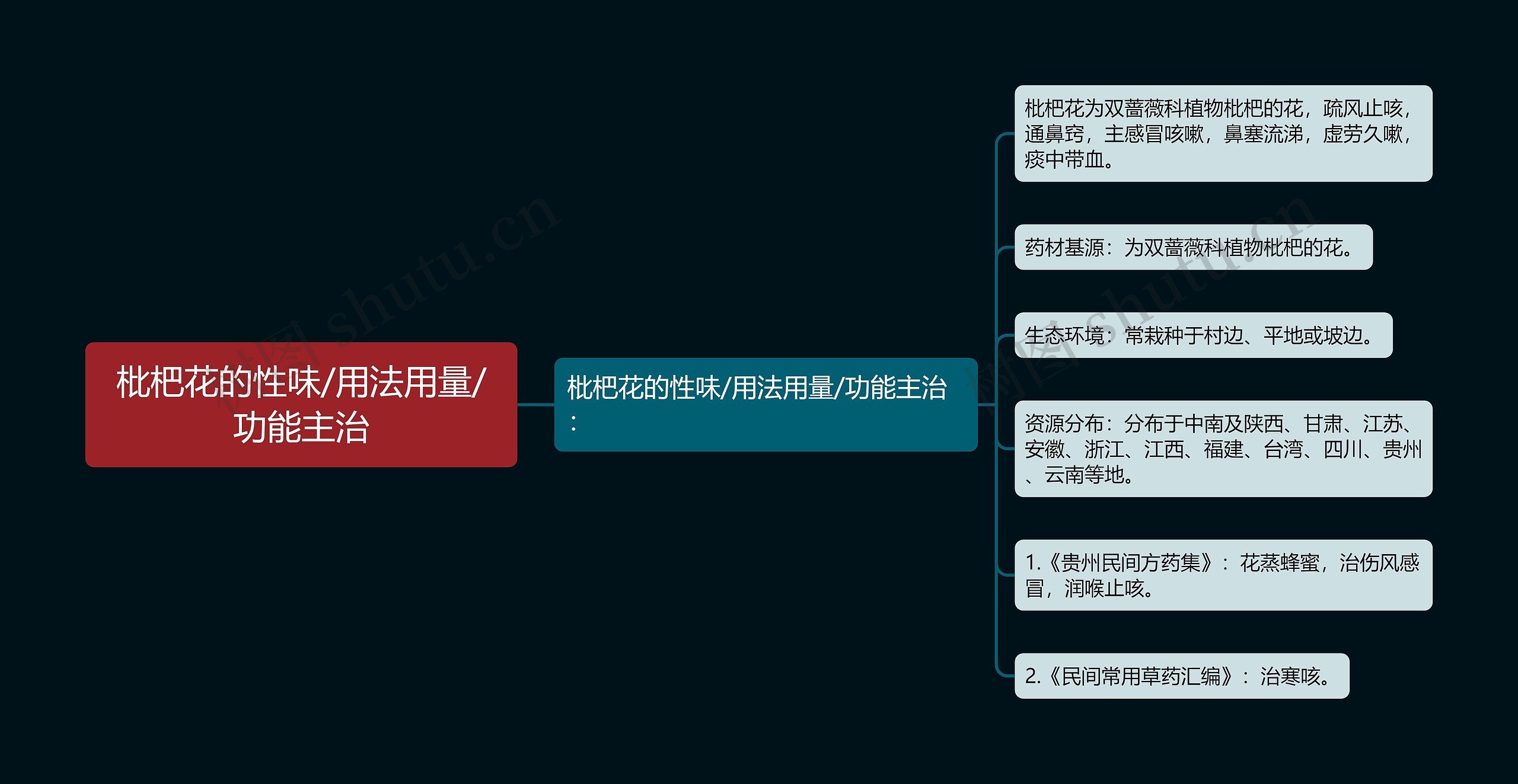 枇杷花的性味/用法用量/功能主治思维导图