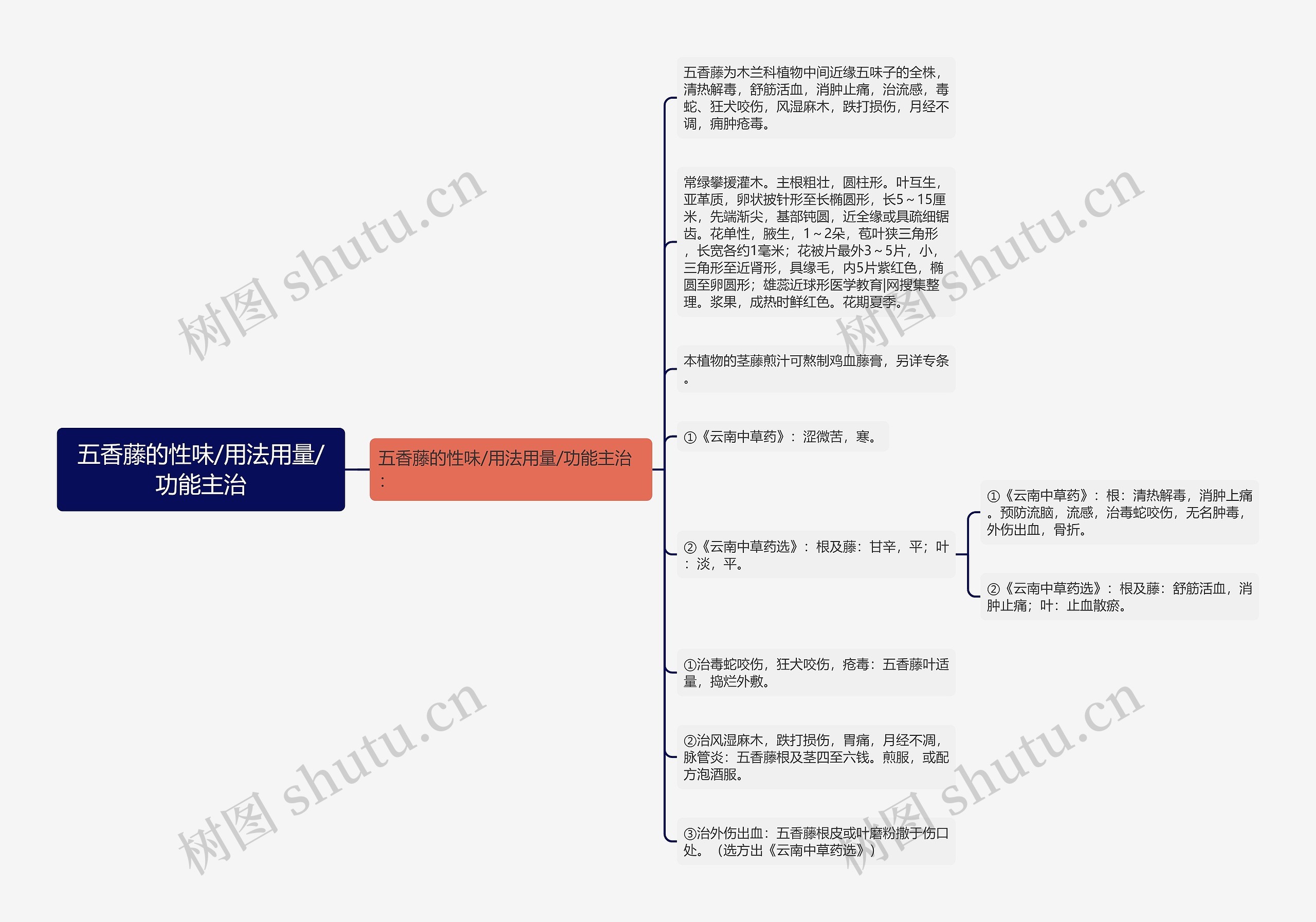 五香藤的性味/用法用量/功能主治思维导图