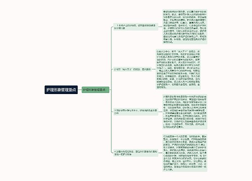 护理形象管理重点