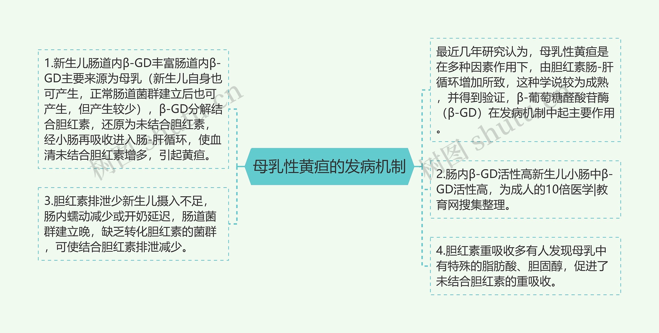 母乳性黄疸的发病机制