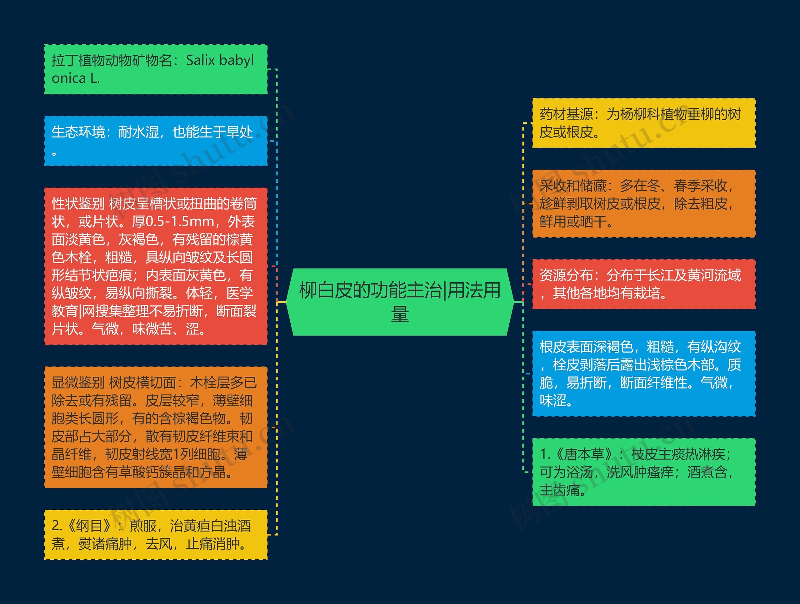 柳白皮的功能主治|用法用量思维导图