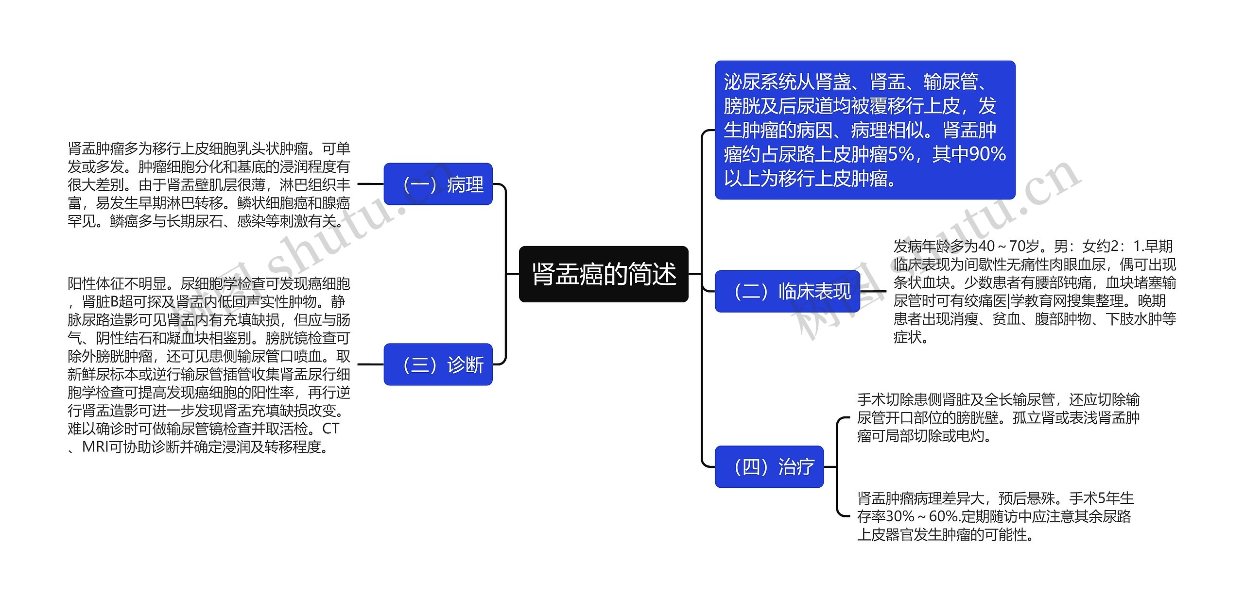 肾盂癌的简述思维导图