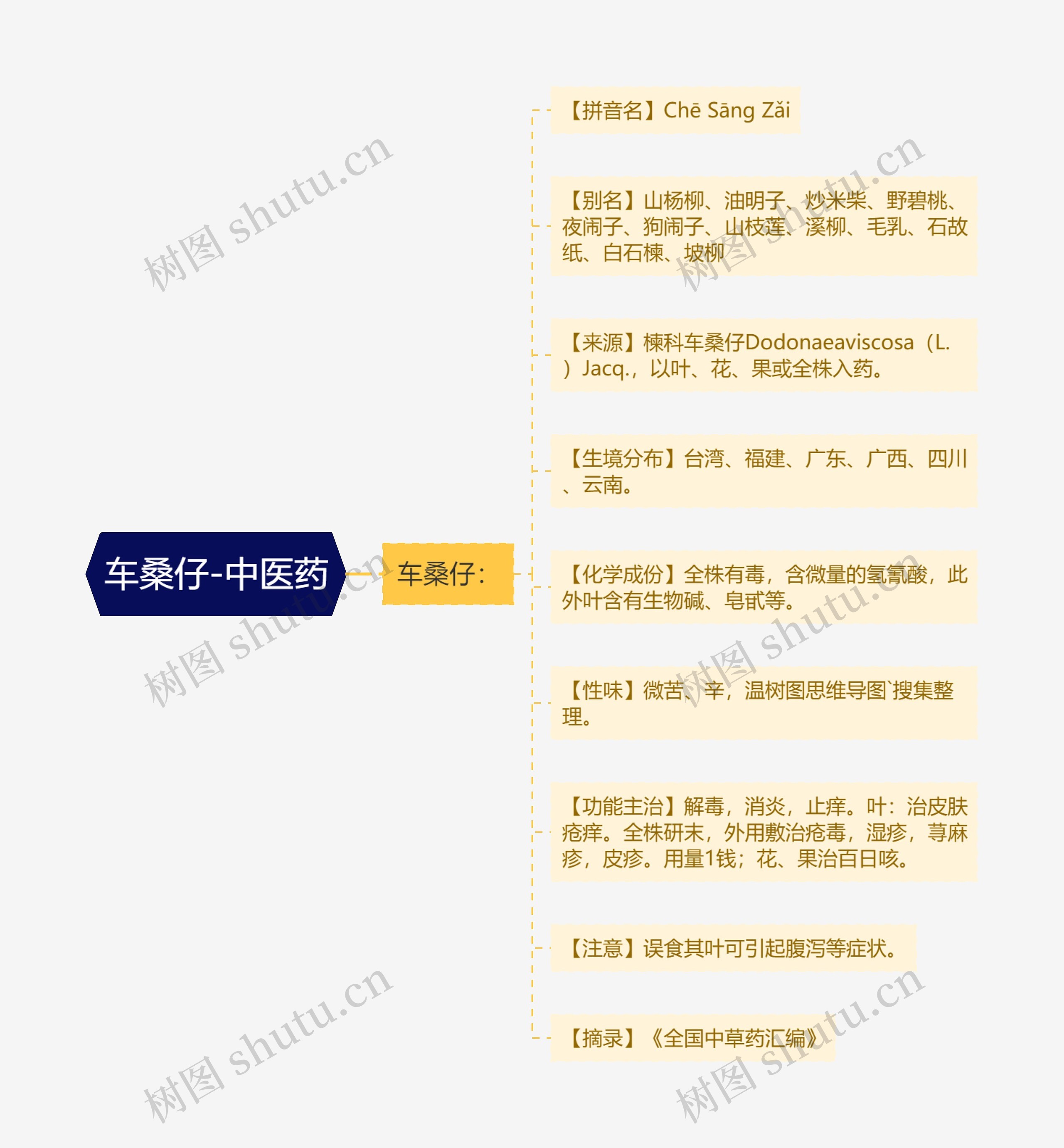 车桑仔-中医药 车桑仔-中医药