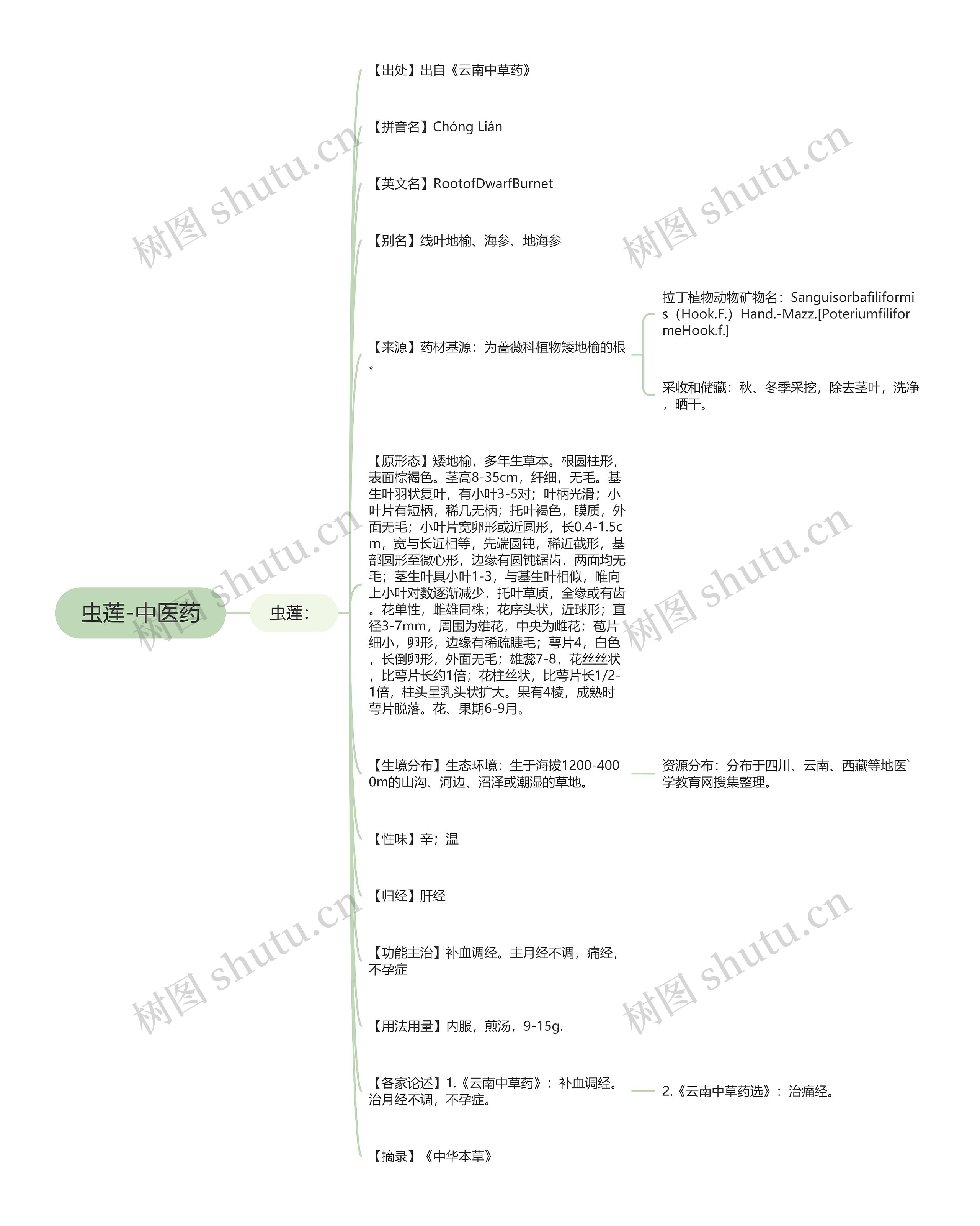虫莲-中医药思维导图