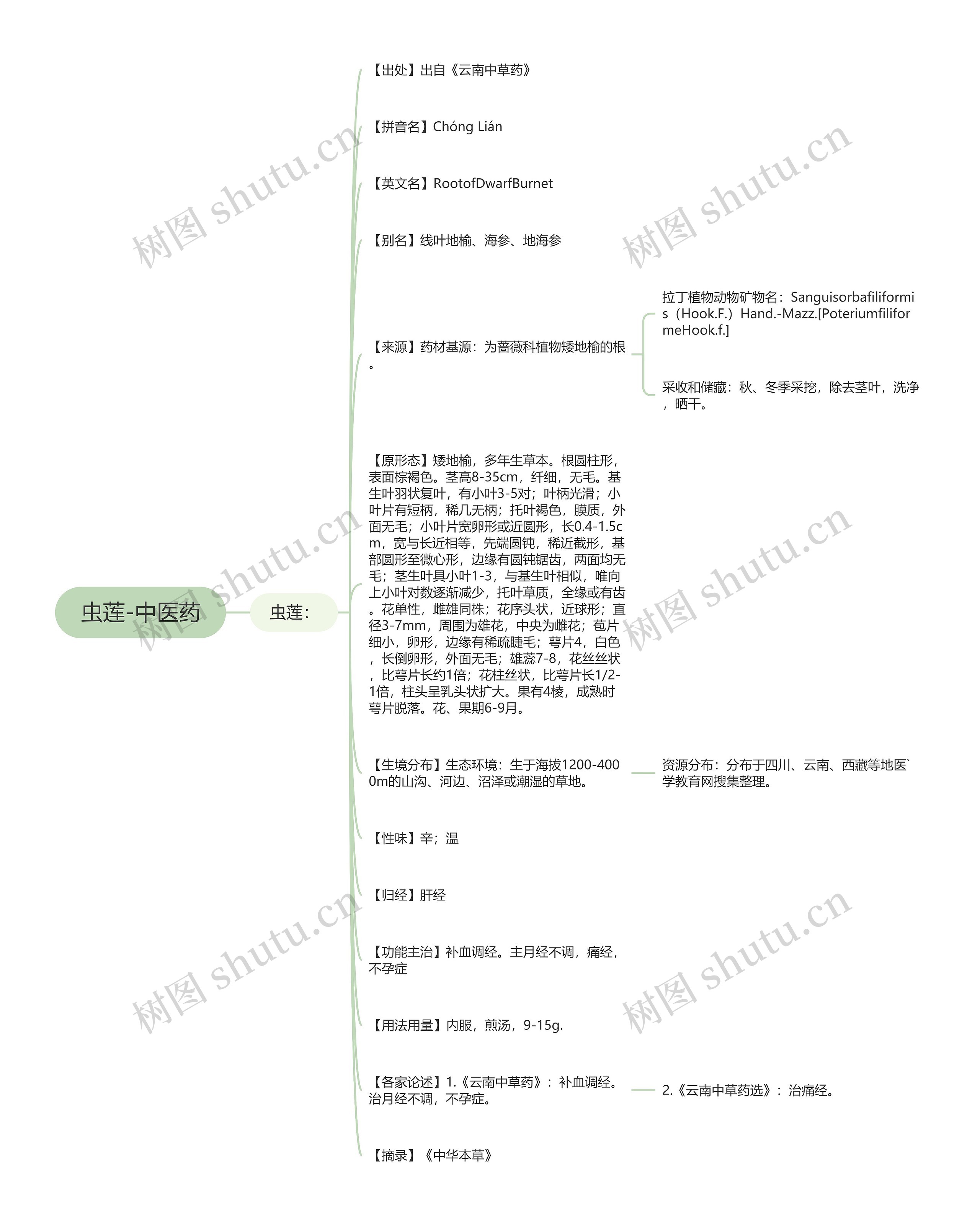 虫莲-中医药 虫莲-中医药
