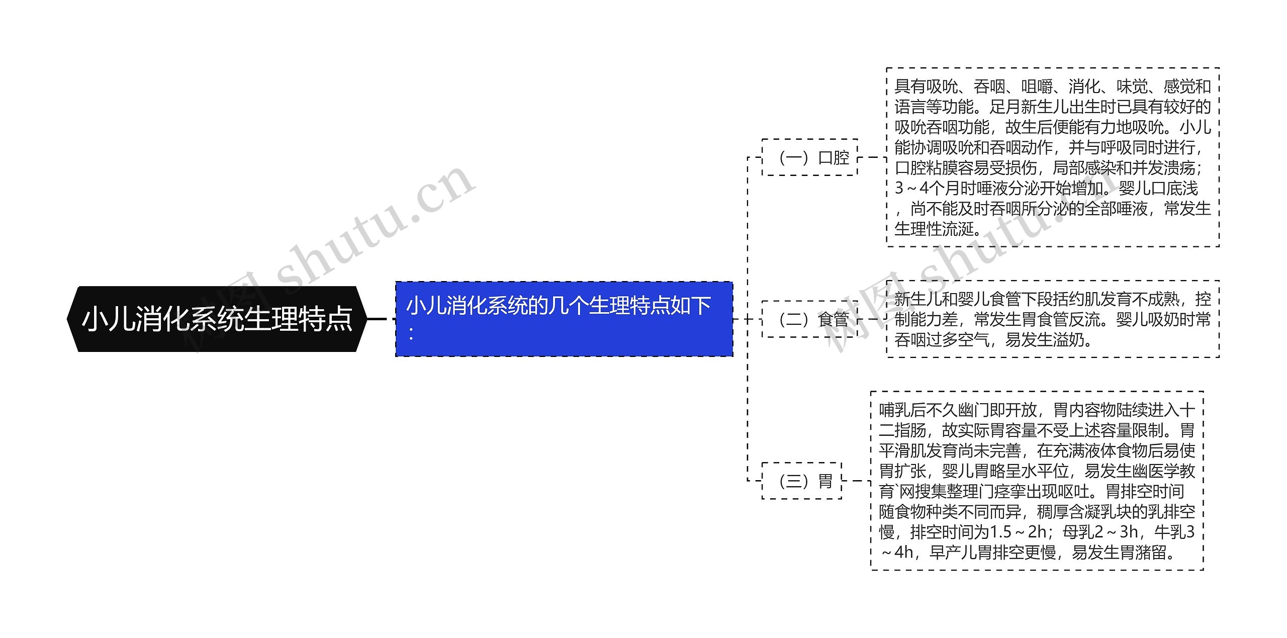 小儿消化系统生理特点思维导图