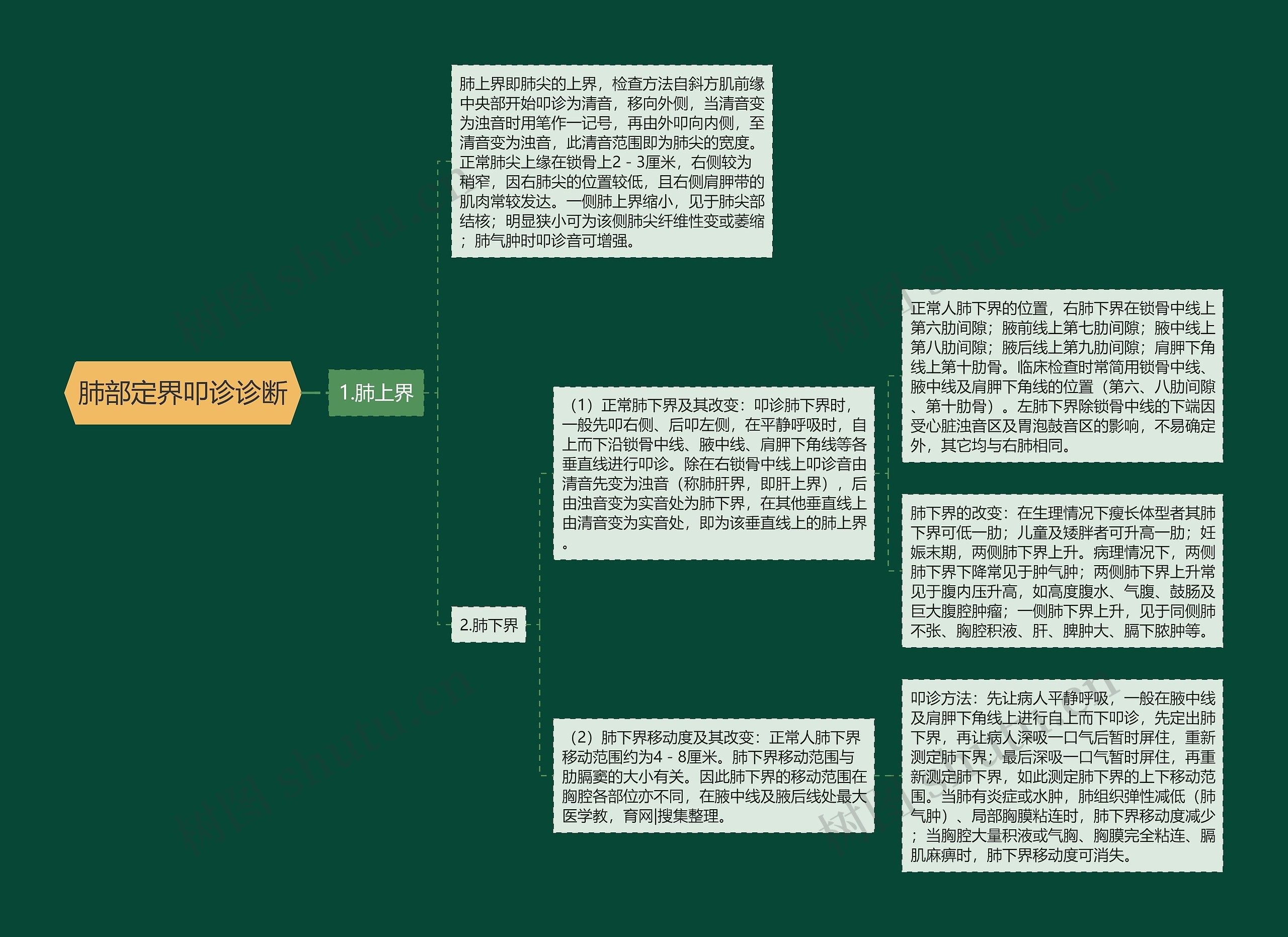 肺部定界叩诊诊断