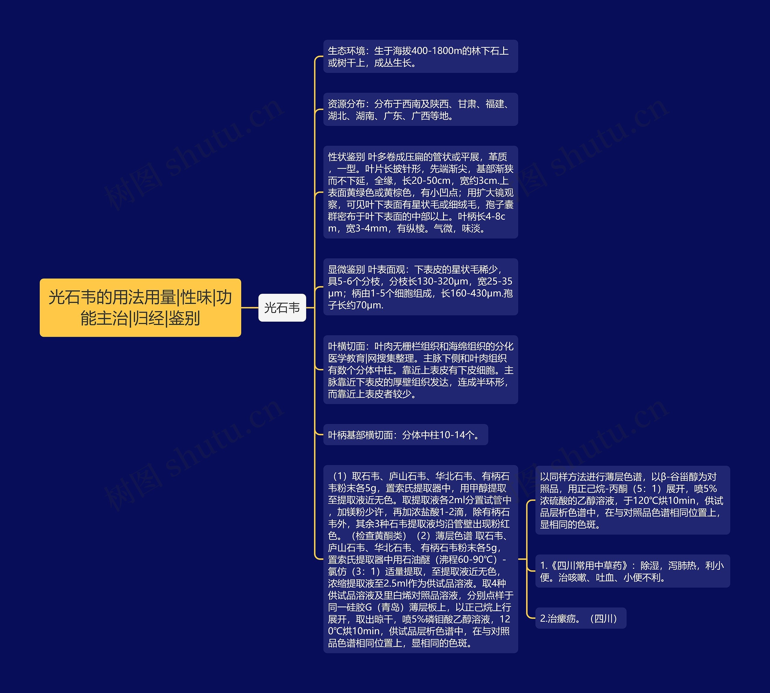 光石韦的用法用量|性味|功能主治|归经|鉴别思维导图