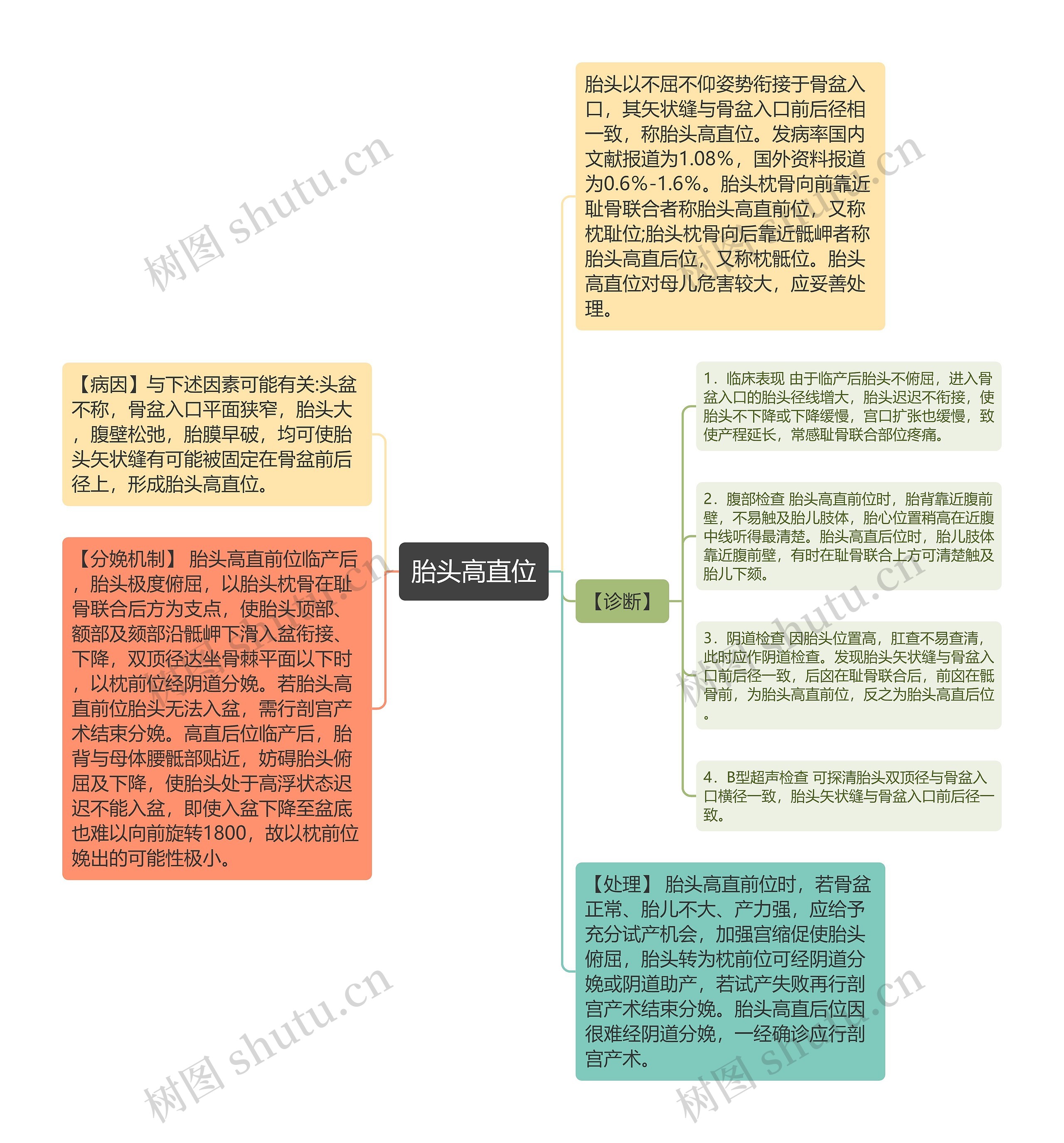 胎头高直位思维导图