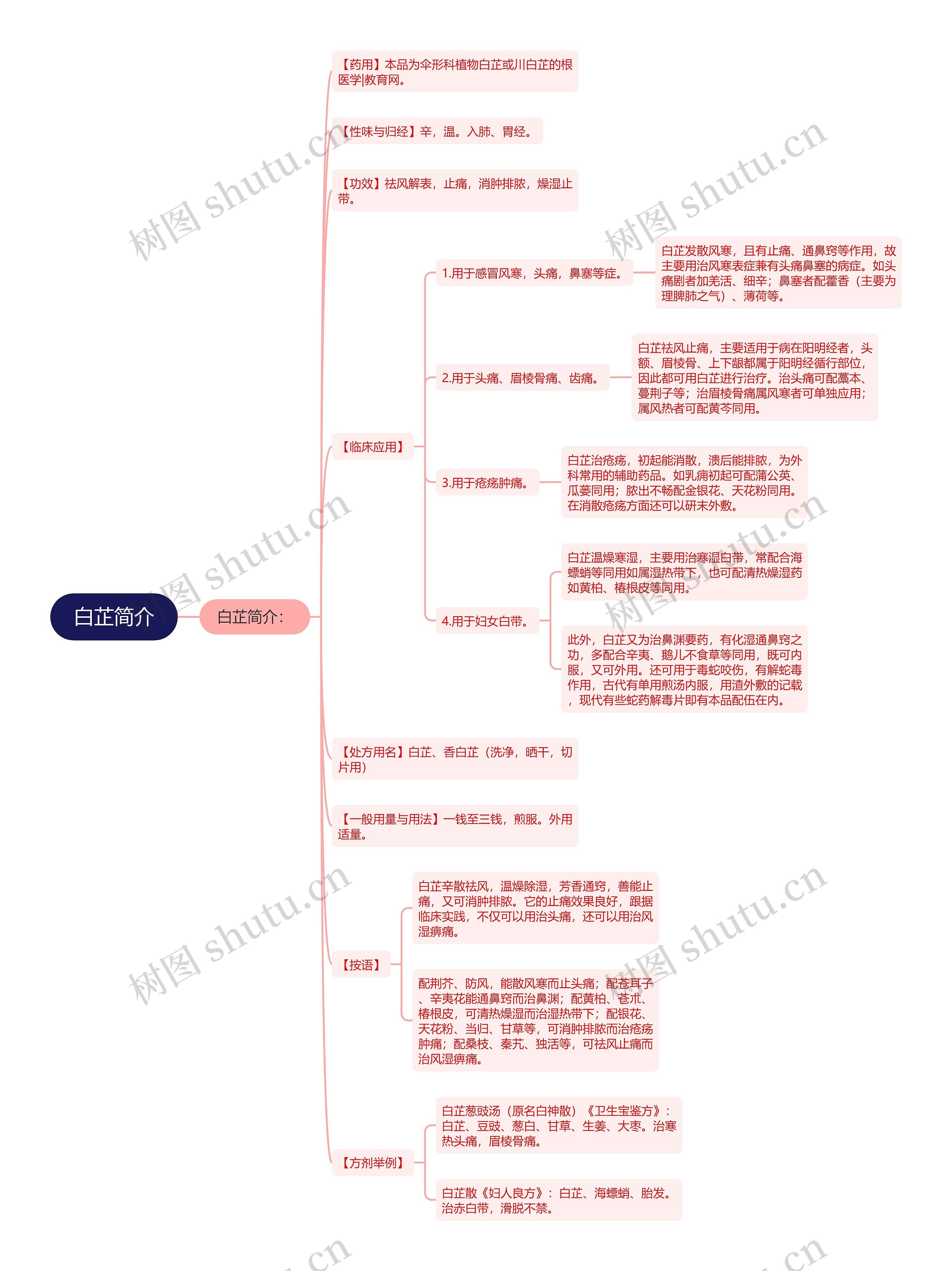白芷简介思维导图