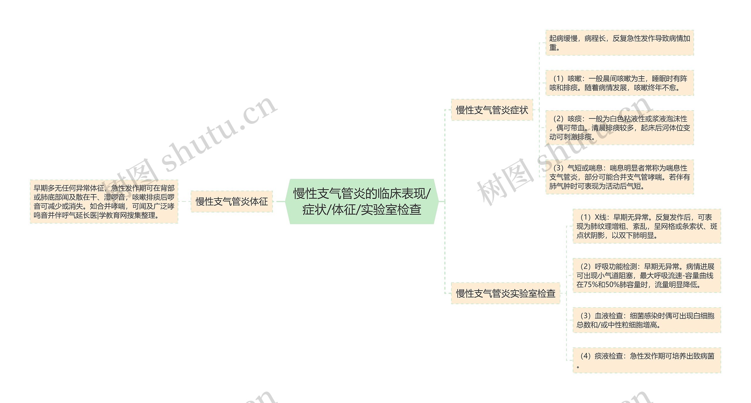 慢性支气管炎的临床表现/症状/体征/实验室检查