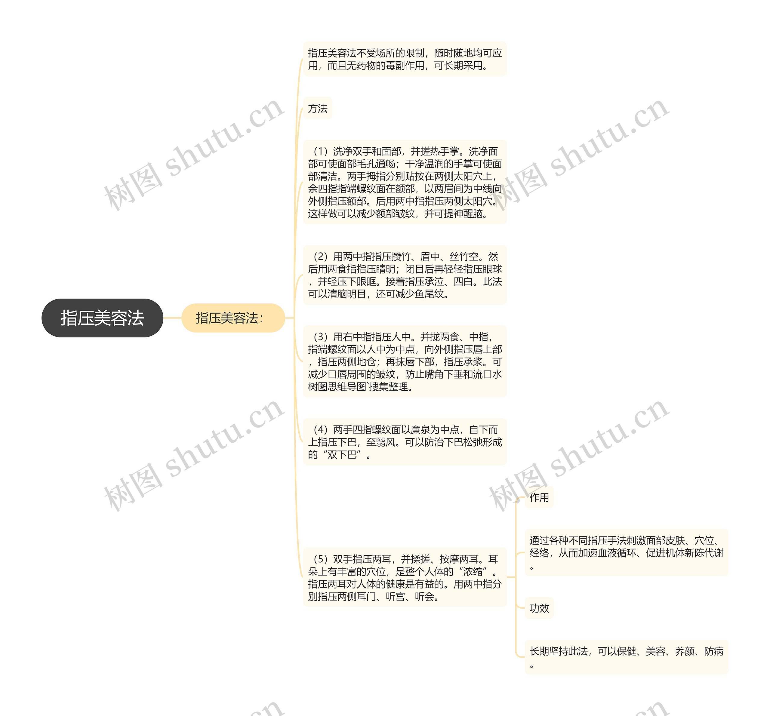 指压美容法思维导图