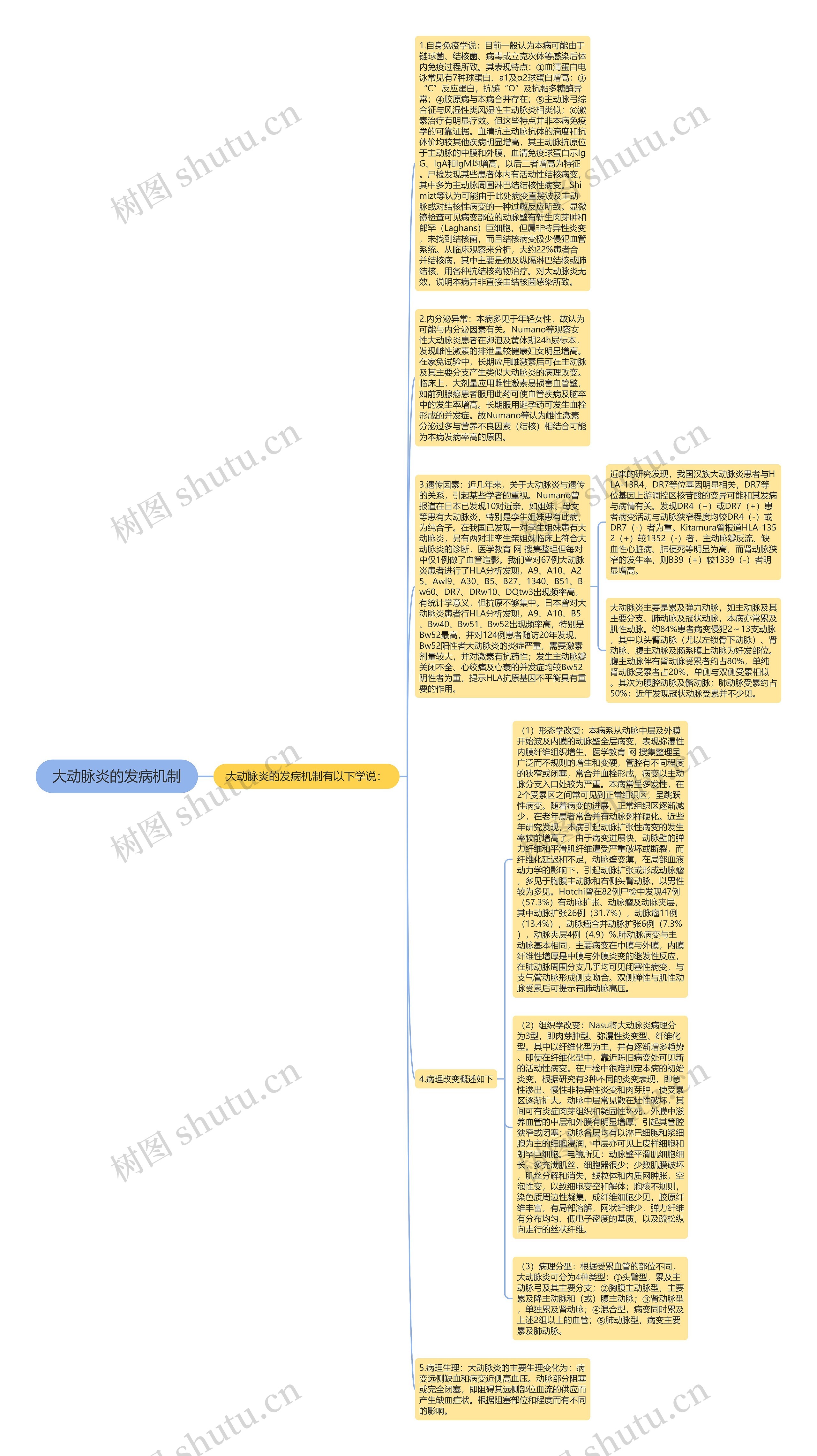大动脉炎的发病机制思维导图