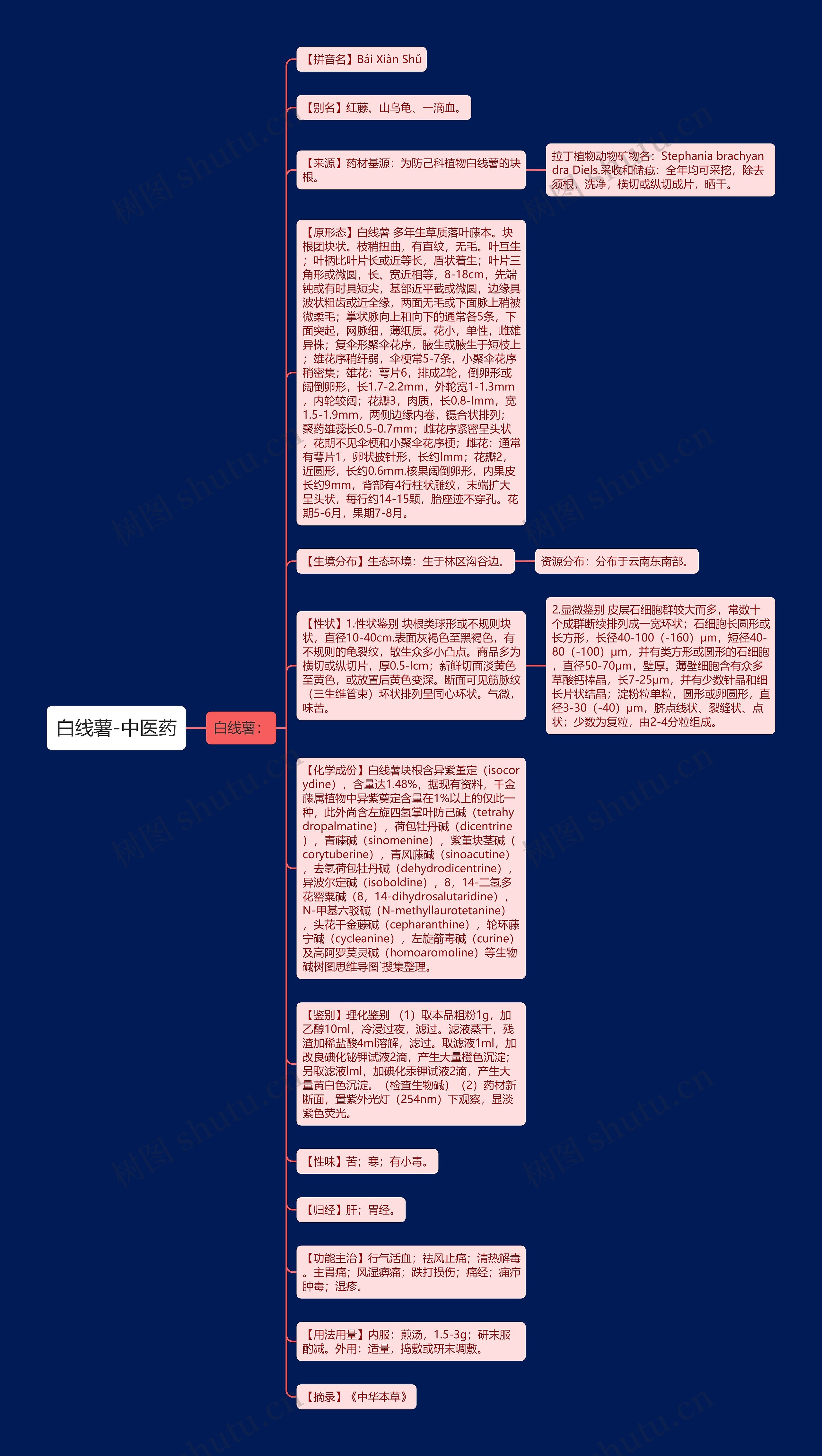 白线薯-中医药思维导图