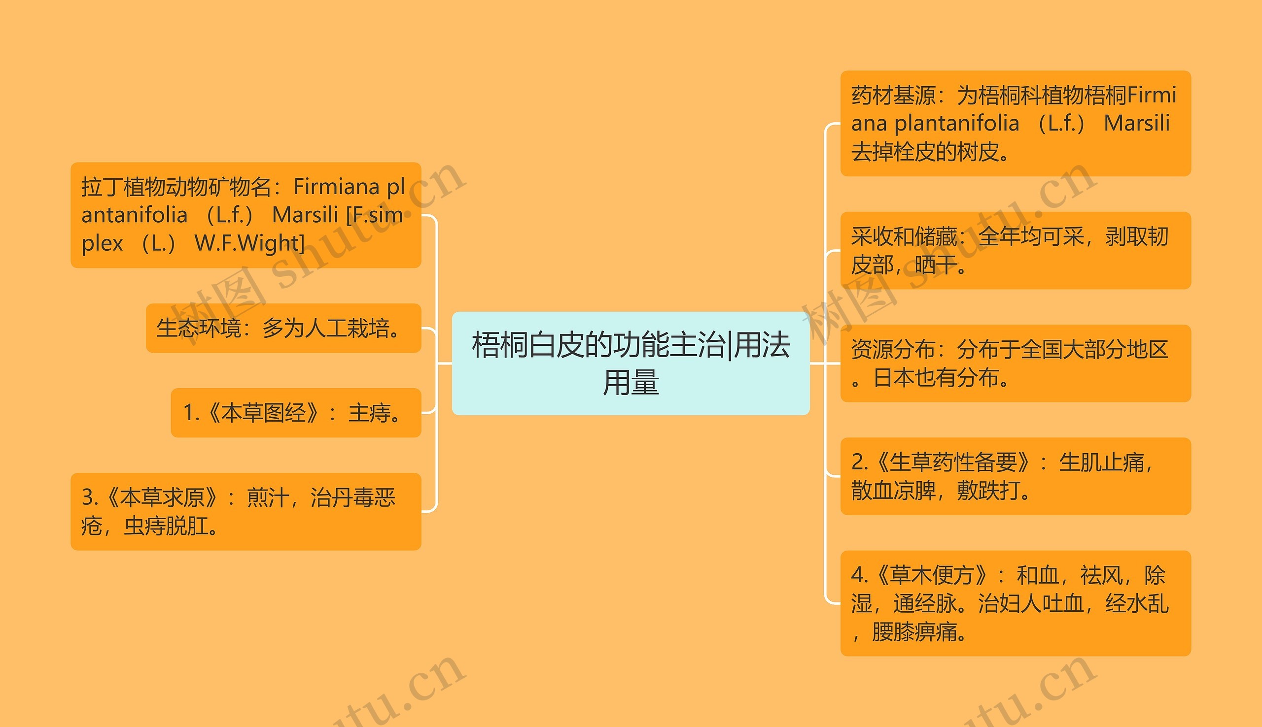 梧桐白皮的功能主治|用法用量 梧桐白皮的功能主治|用法用量
