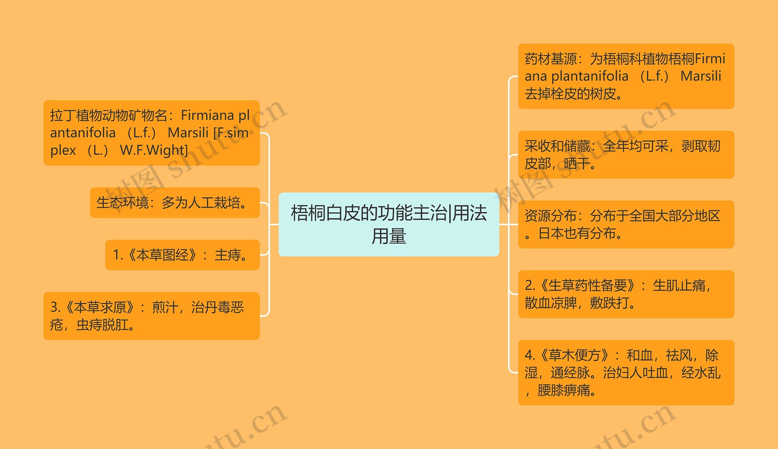 梧桐白皮的功能主治|用法用量思维导图