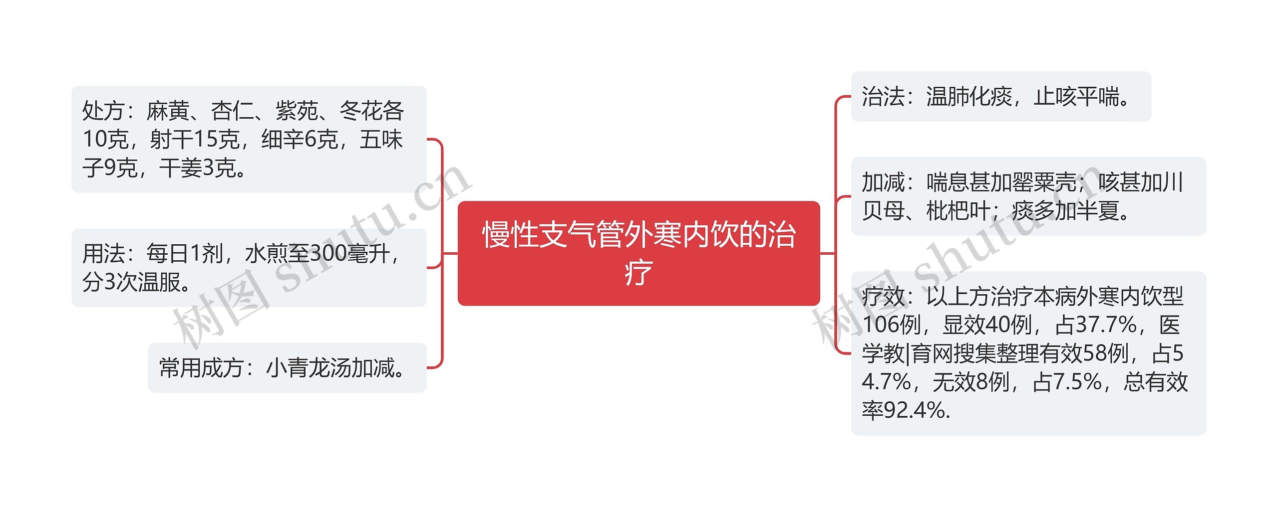 慢性支气管外寒内饮的治疗思维导图