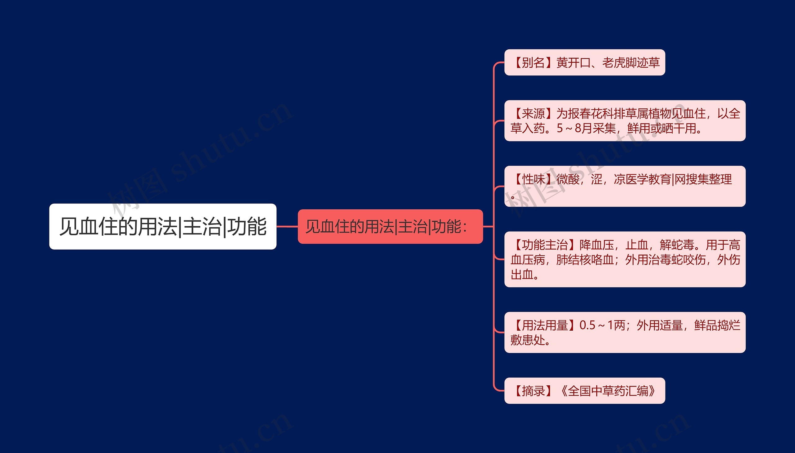 见血住的用法|主治|功能思维导图