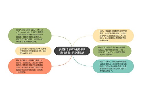 美国科学家成功利用干细胞培养出人类心脏组织