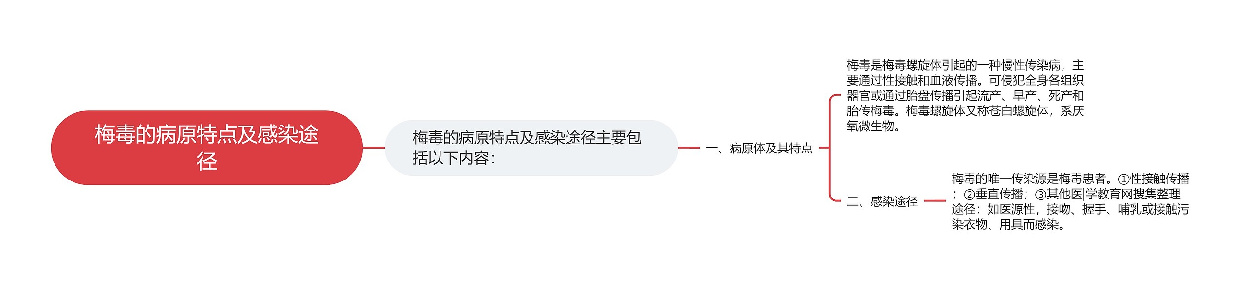 梅毒的病原特点及感染途径思维导图