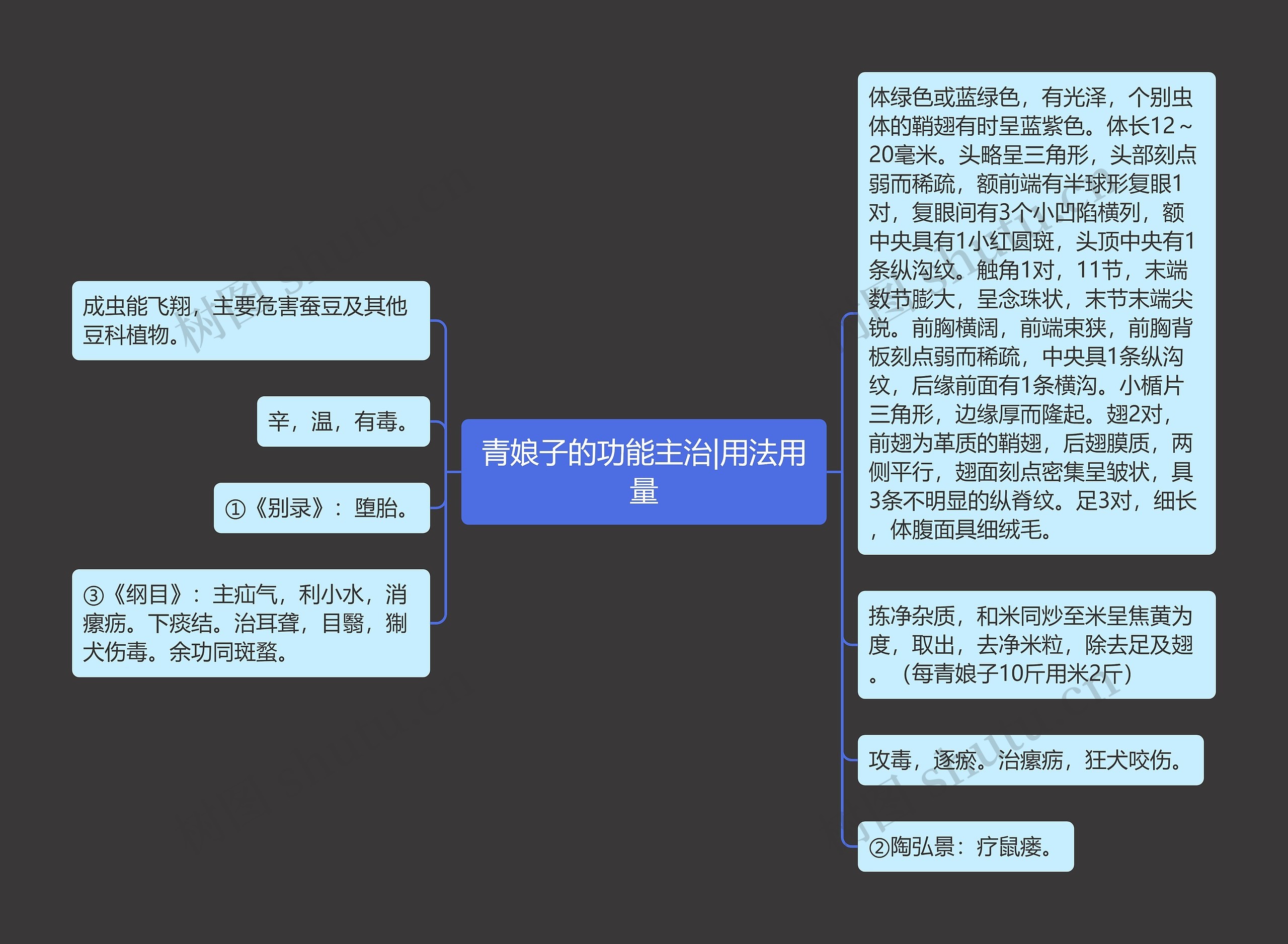 青娘子的功能主治|用法用量