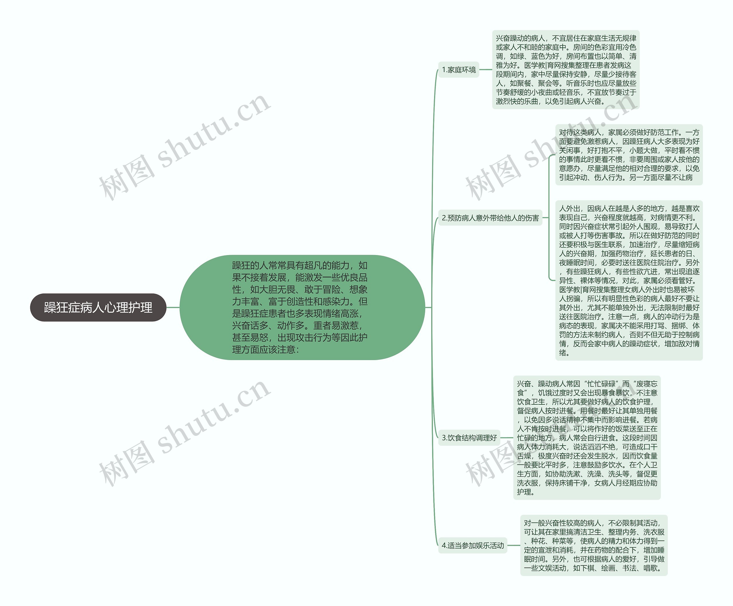 躁狂症病人心理护理思维导图