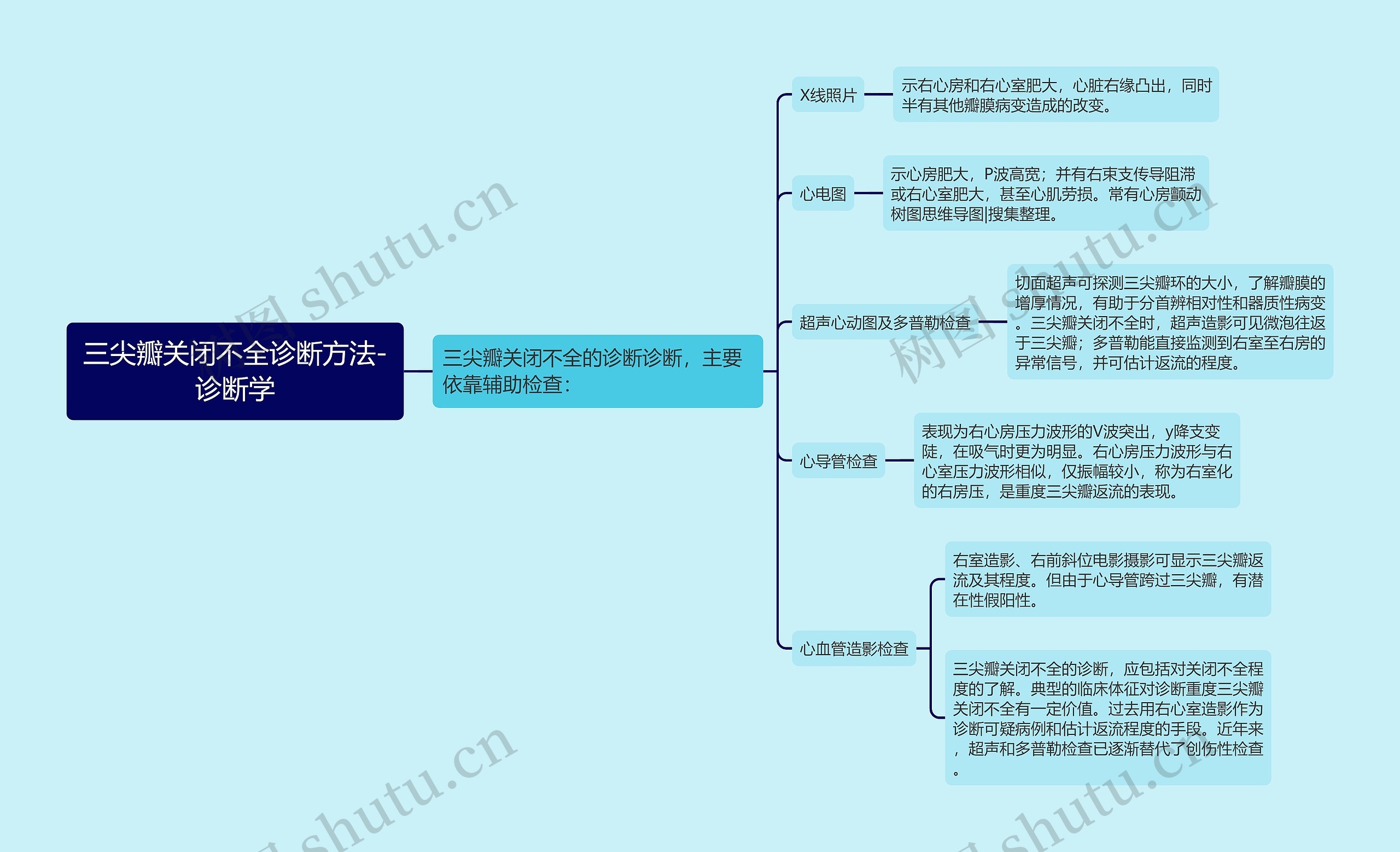 三尖瓣关闭不全诊断方法-诊断学思维导图