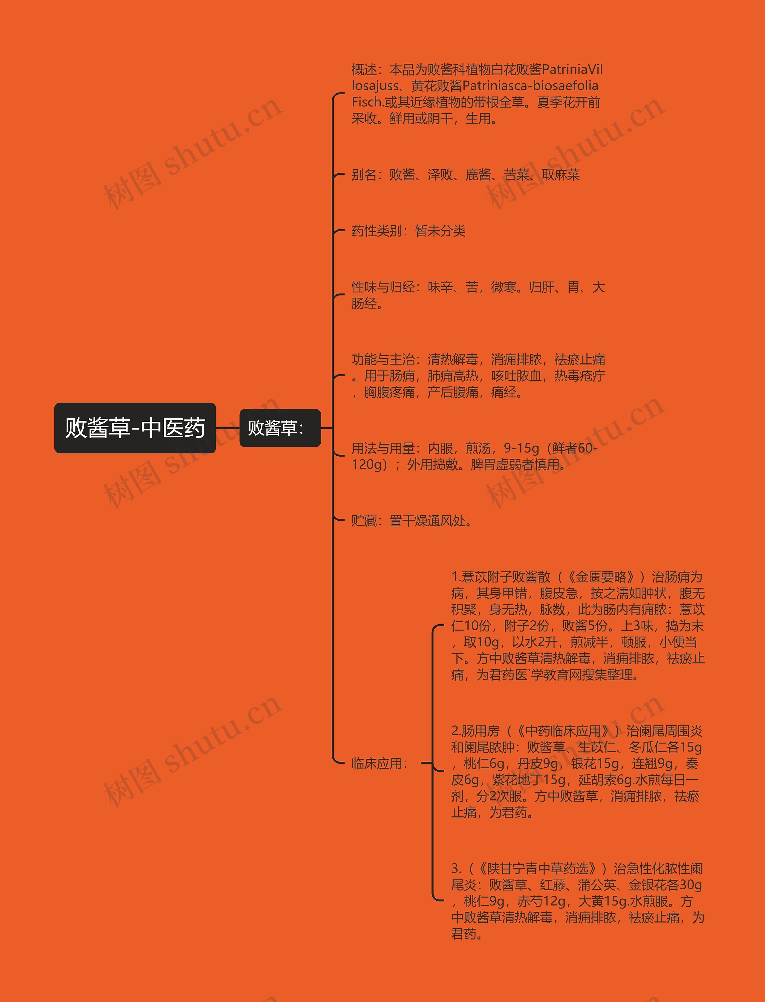 败酱草-中医药 败酱草-中医药