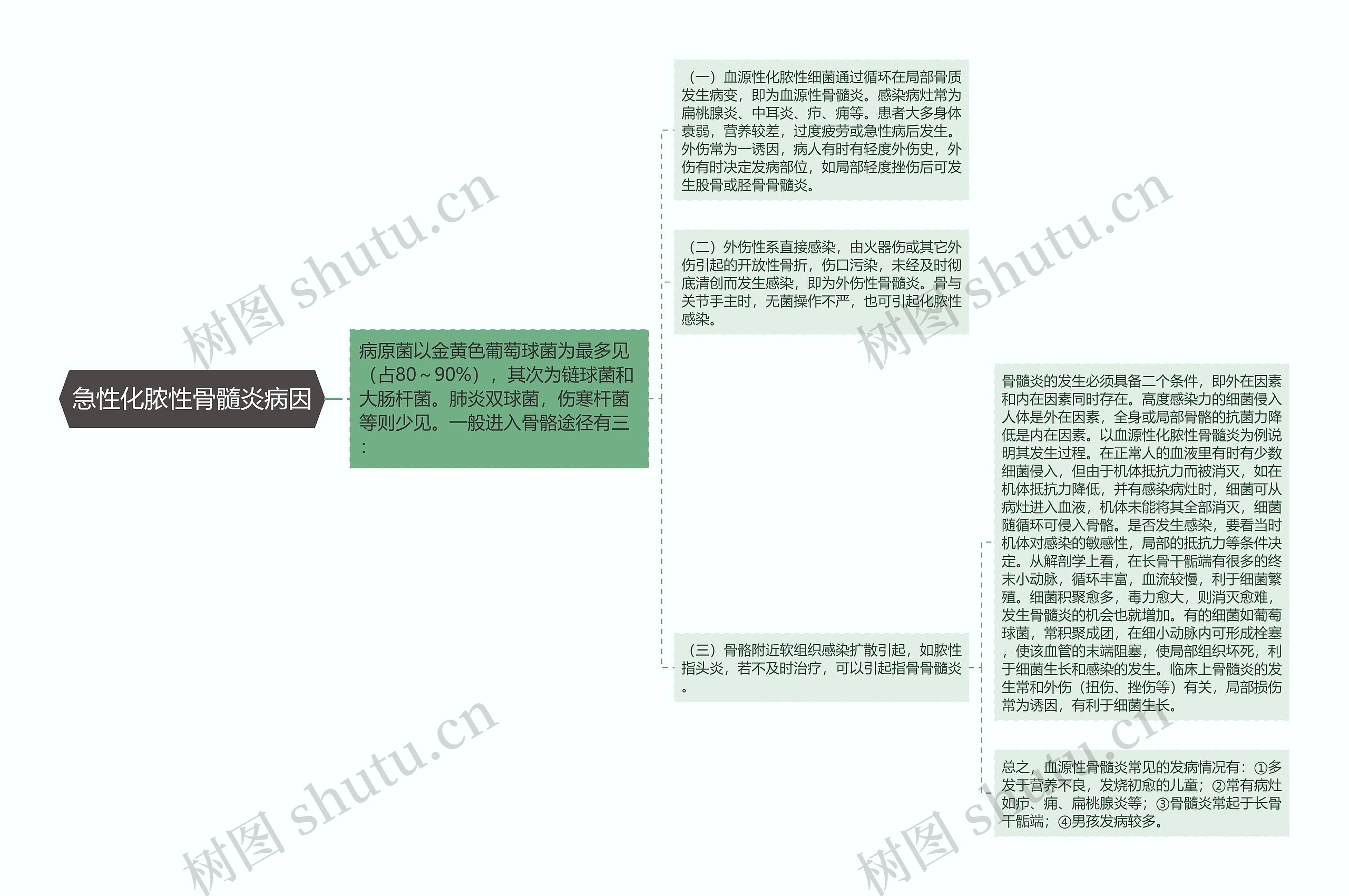 急性化脓性骨髓炎病因思维导图