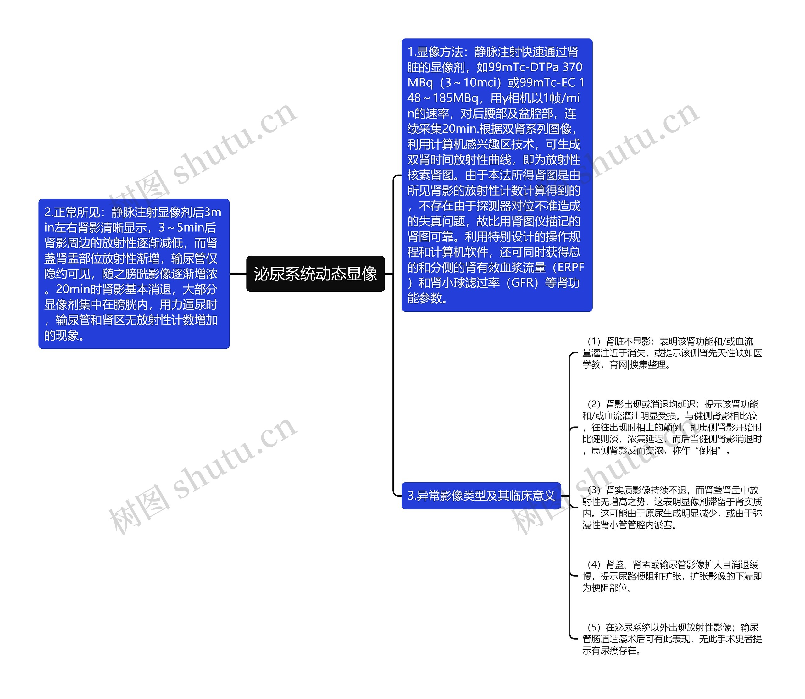 泌尿系统动态显像