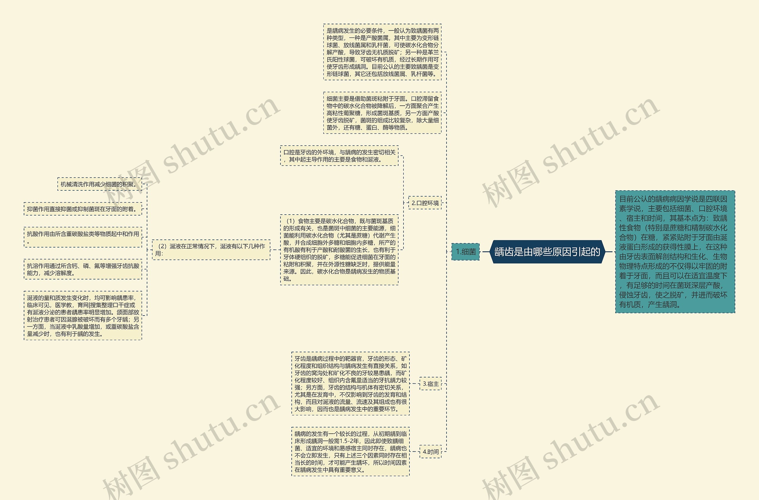 龋齿是由哪些原因引起的思维导图