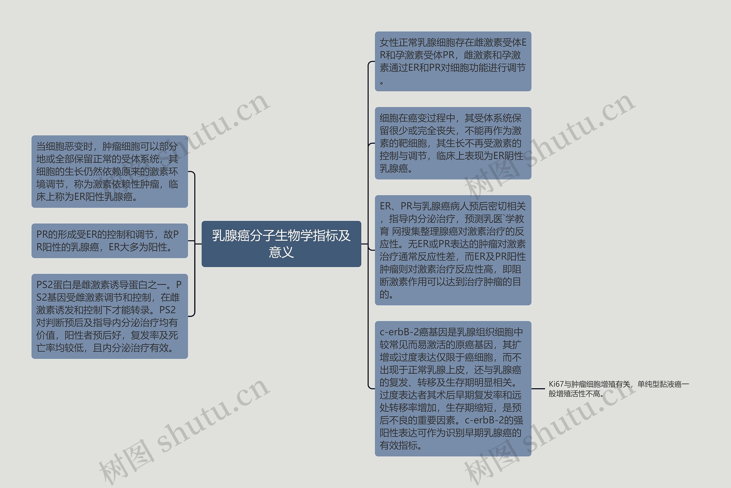 乳腺癌分子生物学指标及意义思维导图