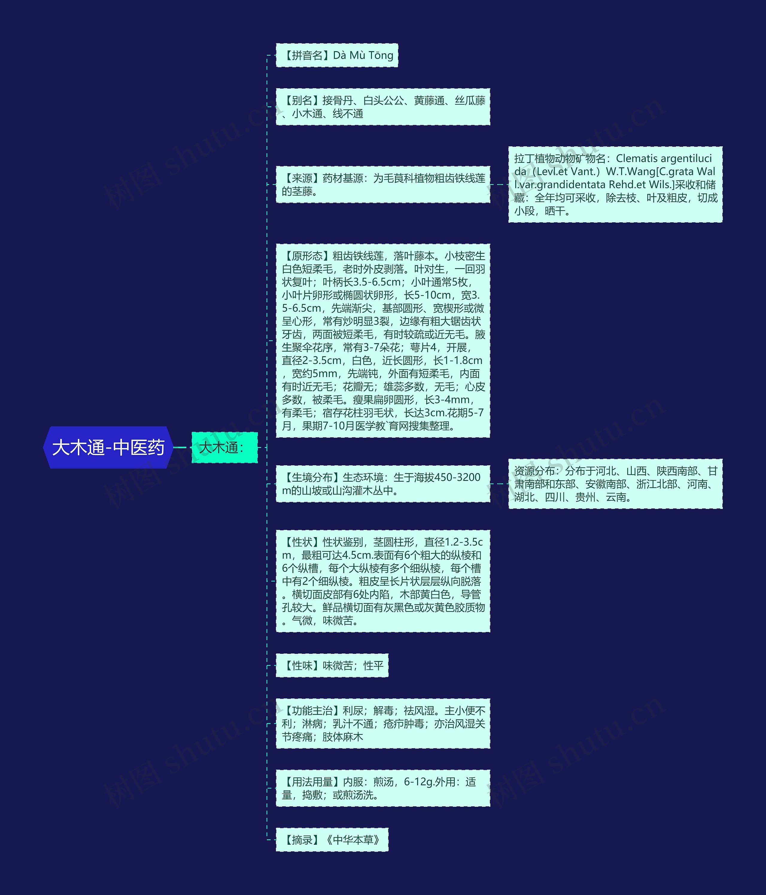 大木通-中医药思维导图