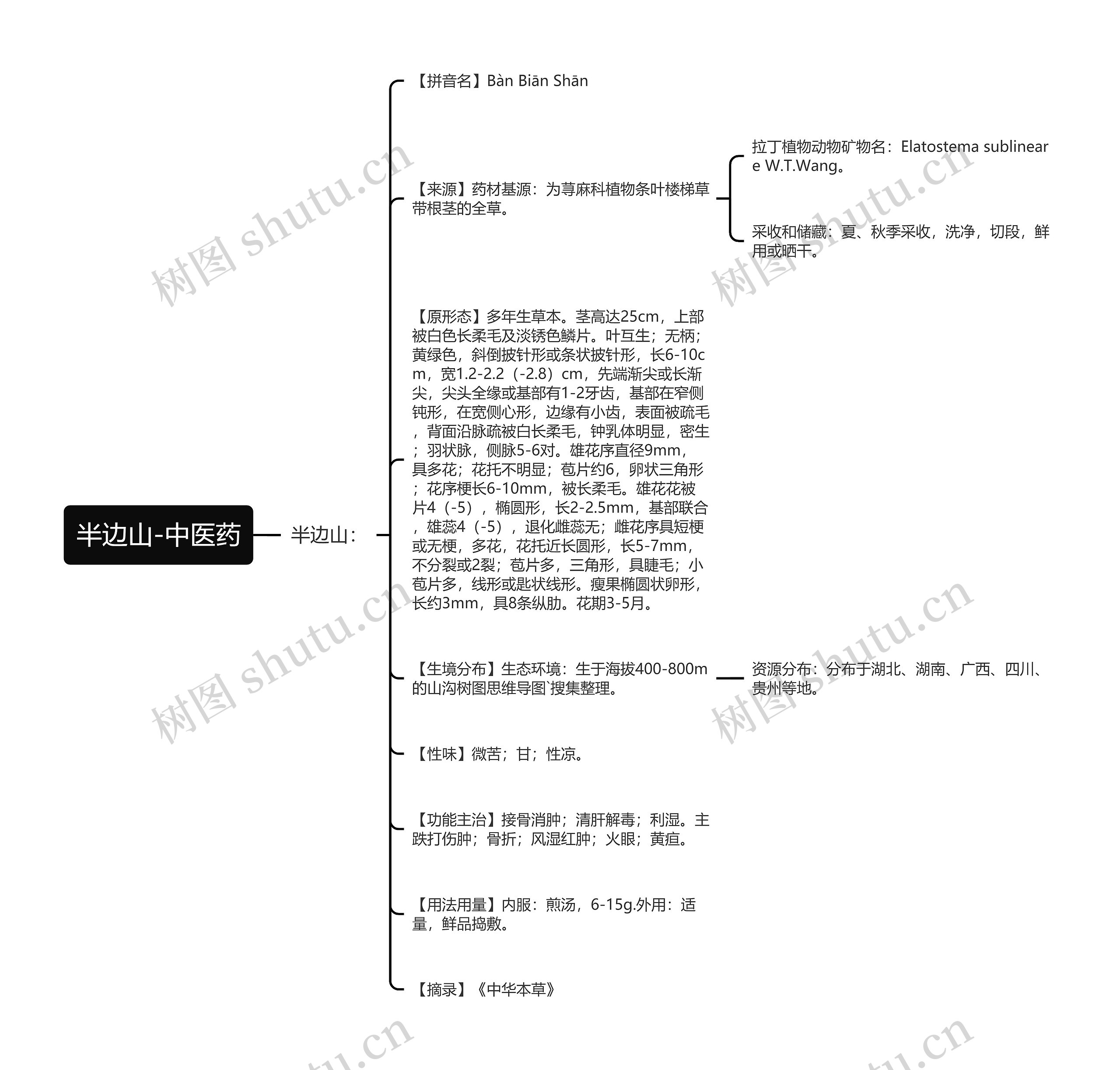 半边山-中医药思维导图