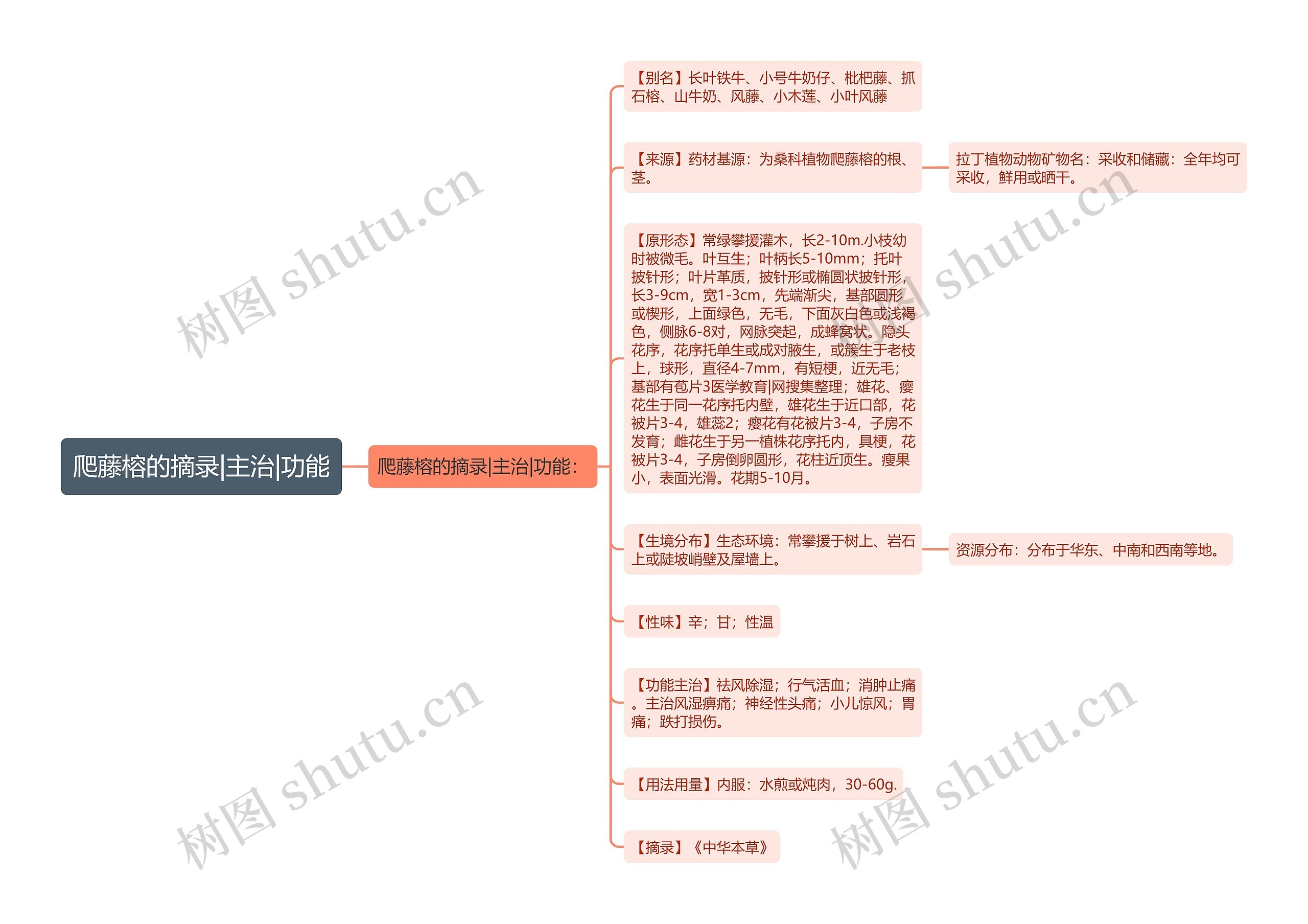 爬藤榕的摘录|主治|功能思维导图